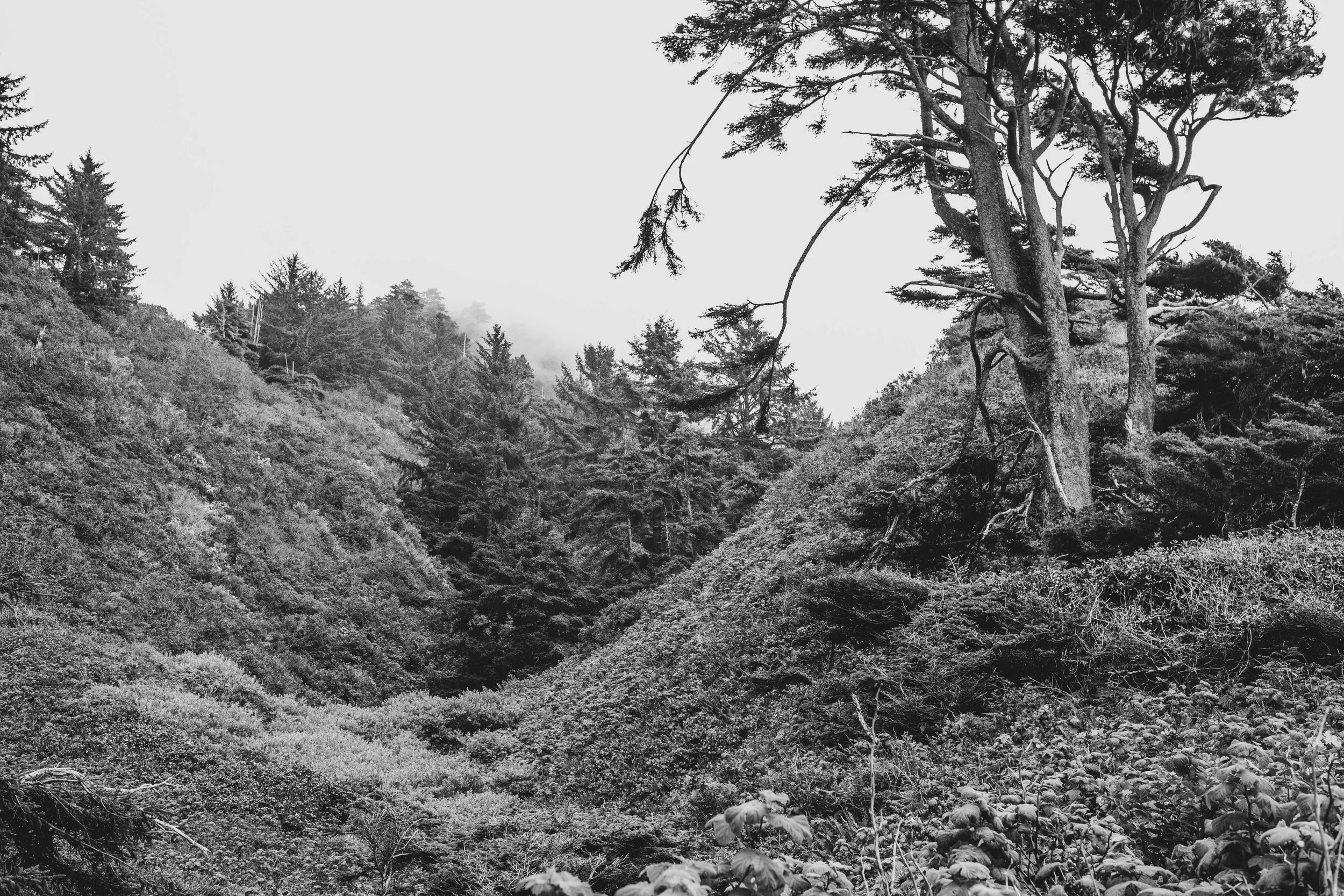 Roadtrip July EDITED 2024-8903.jpg