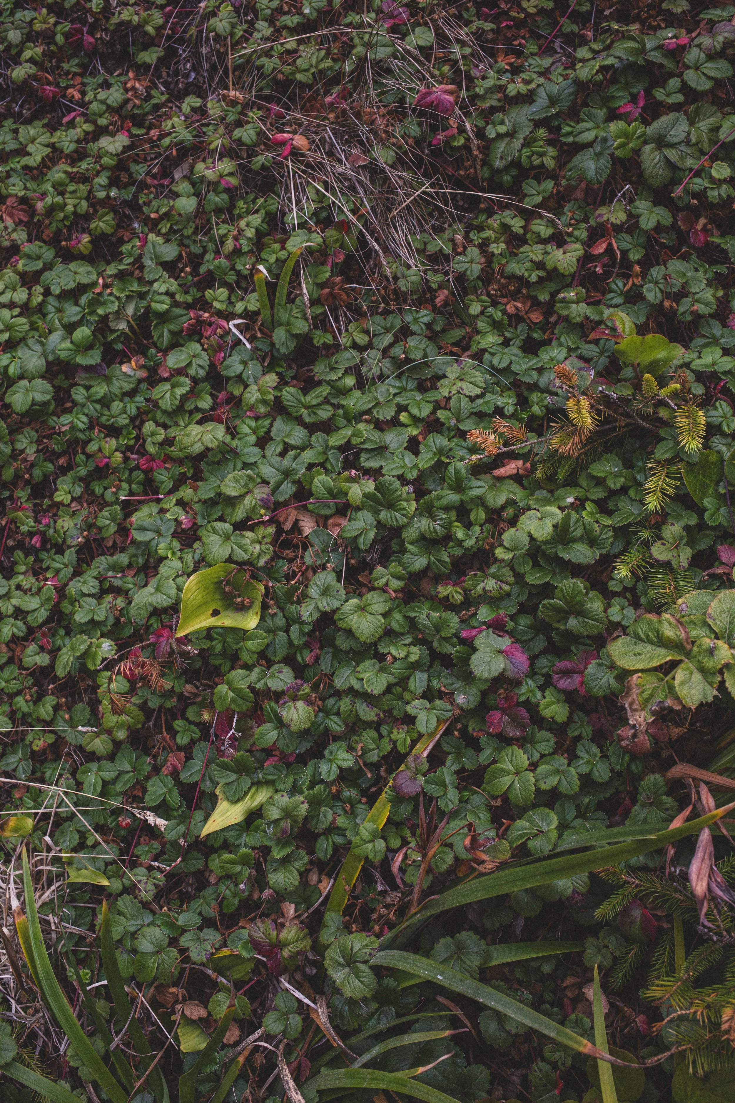 Roadtrip July EDITED 2024-8907.jpg