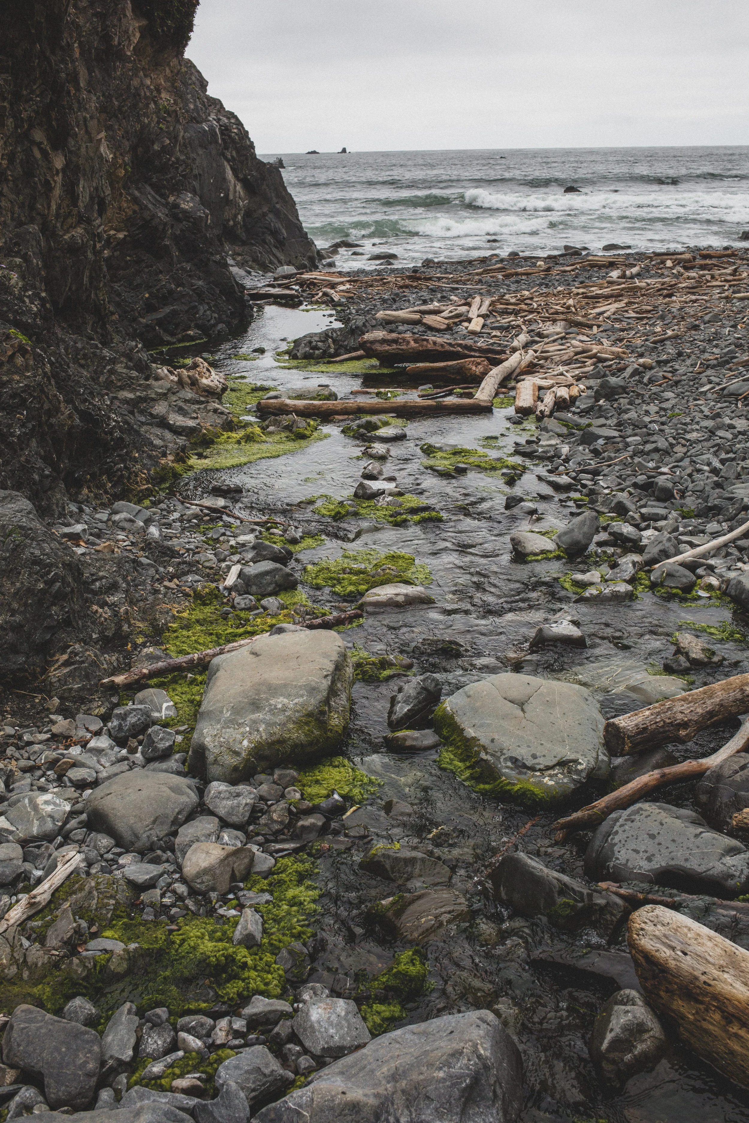 Roadtrip July EDITED 2024-8910.jpg