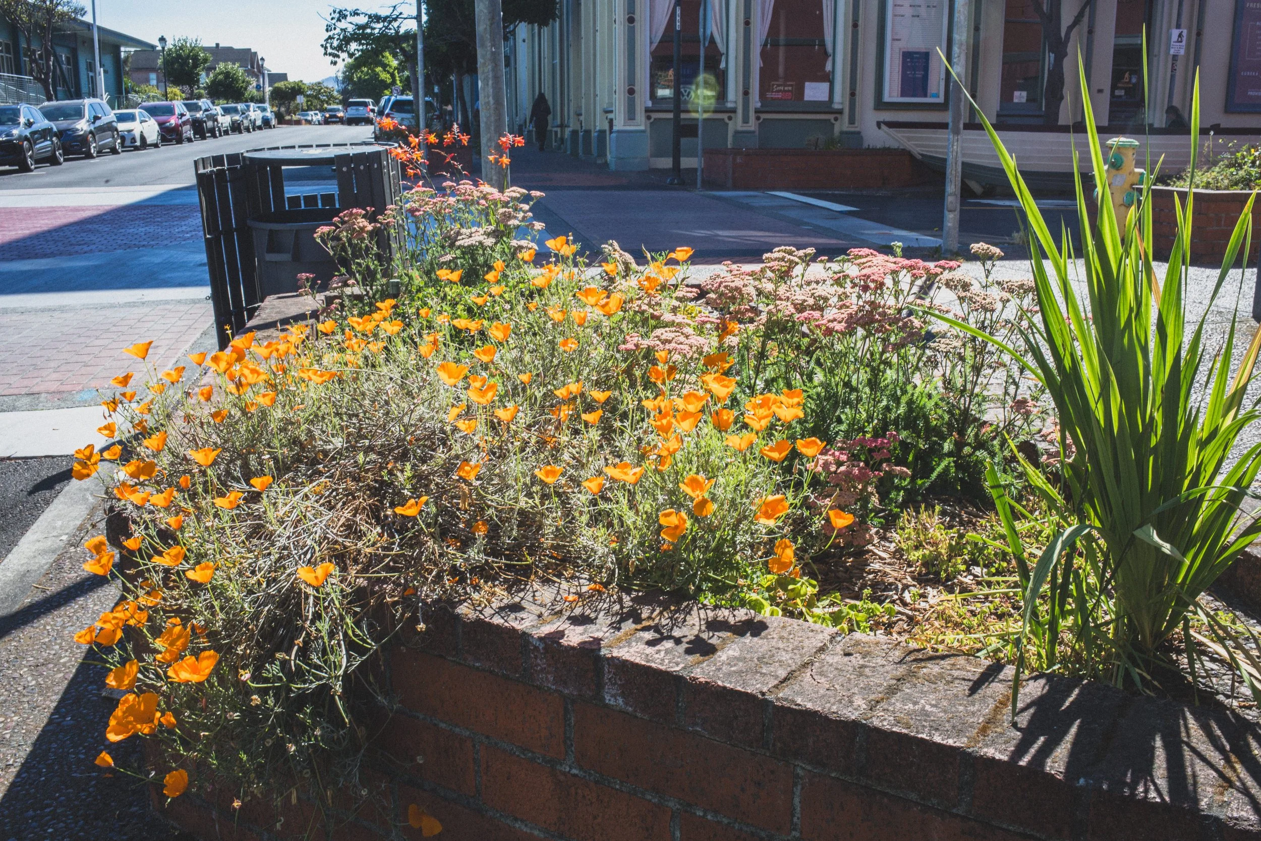 Roadtrip July EDITED 2024-8912.jpg