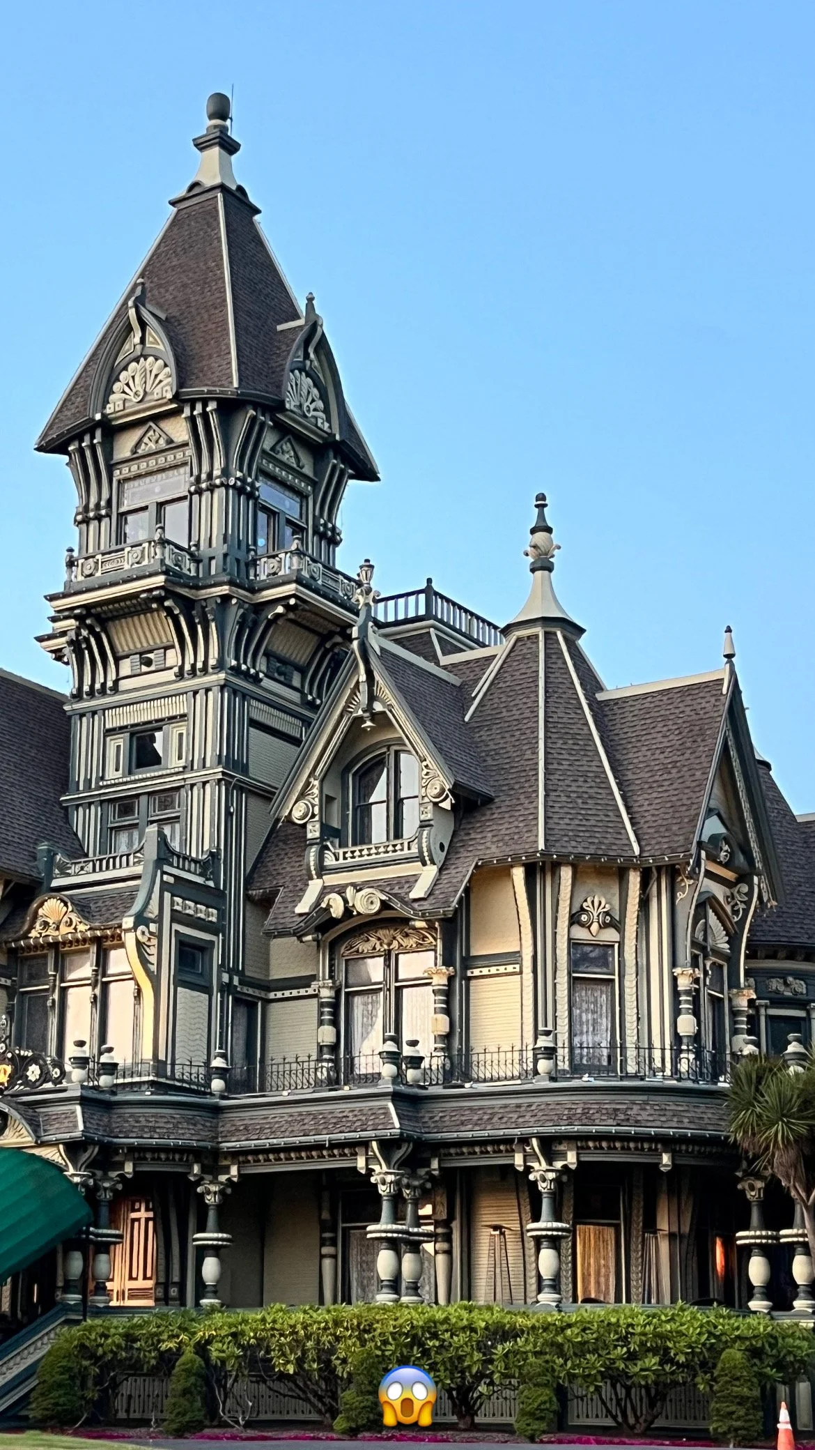 C974656D-0E6F-4FBF-AB40-346F159A51AA 3.JPG