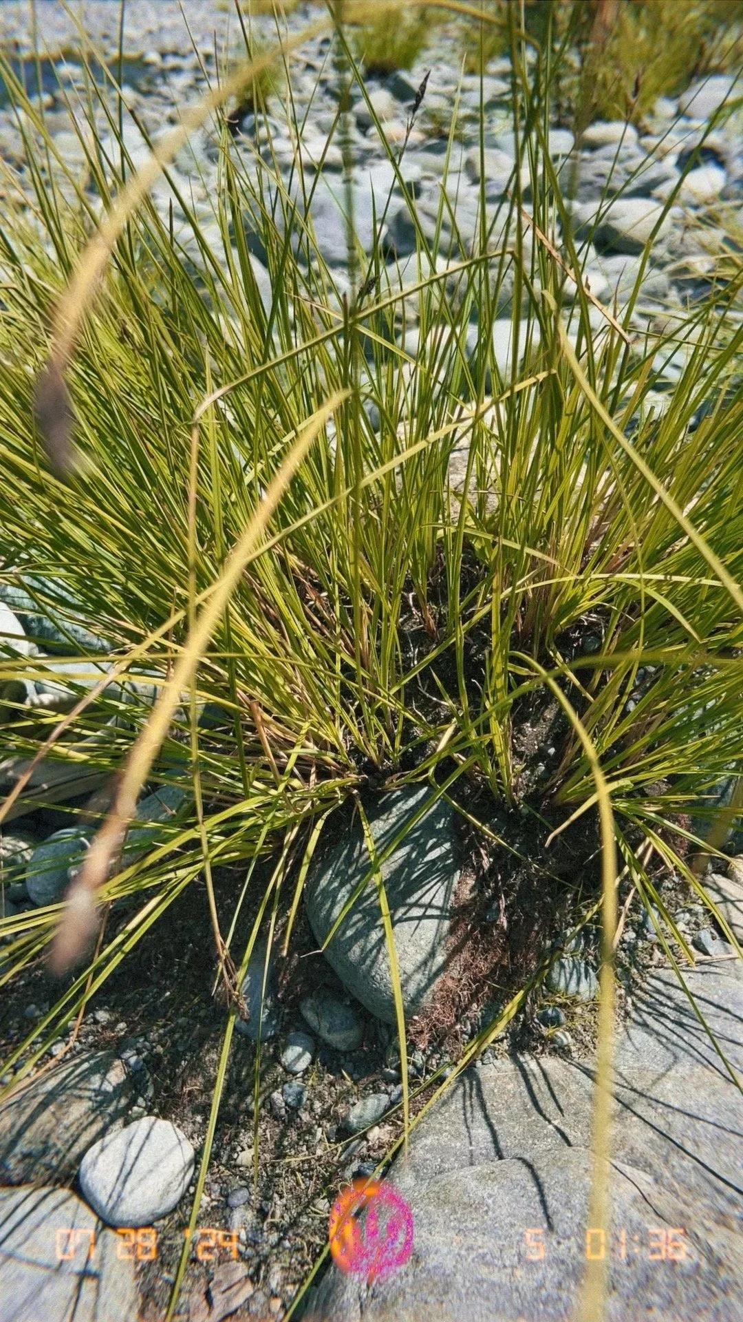 01J3XGXQ037Z9MD5JDJ2KC3FFZ-low-res-branded- 3.JPEG