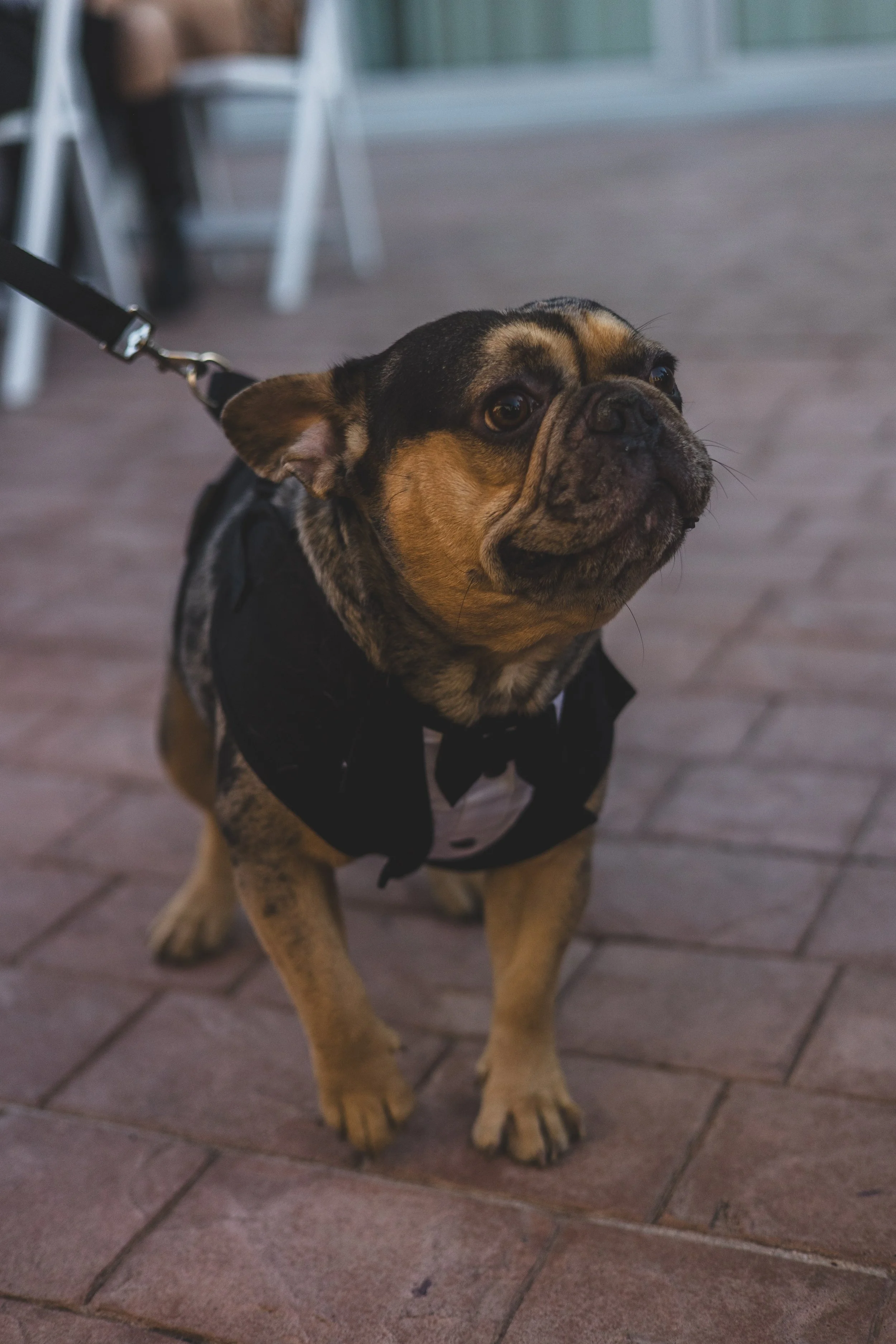 Jaleila and Collin Gilbert, Arizona by Photographer, Jennifer Lind Schutsky, December 2025 EDITED-255.jpg