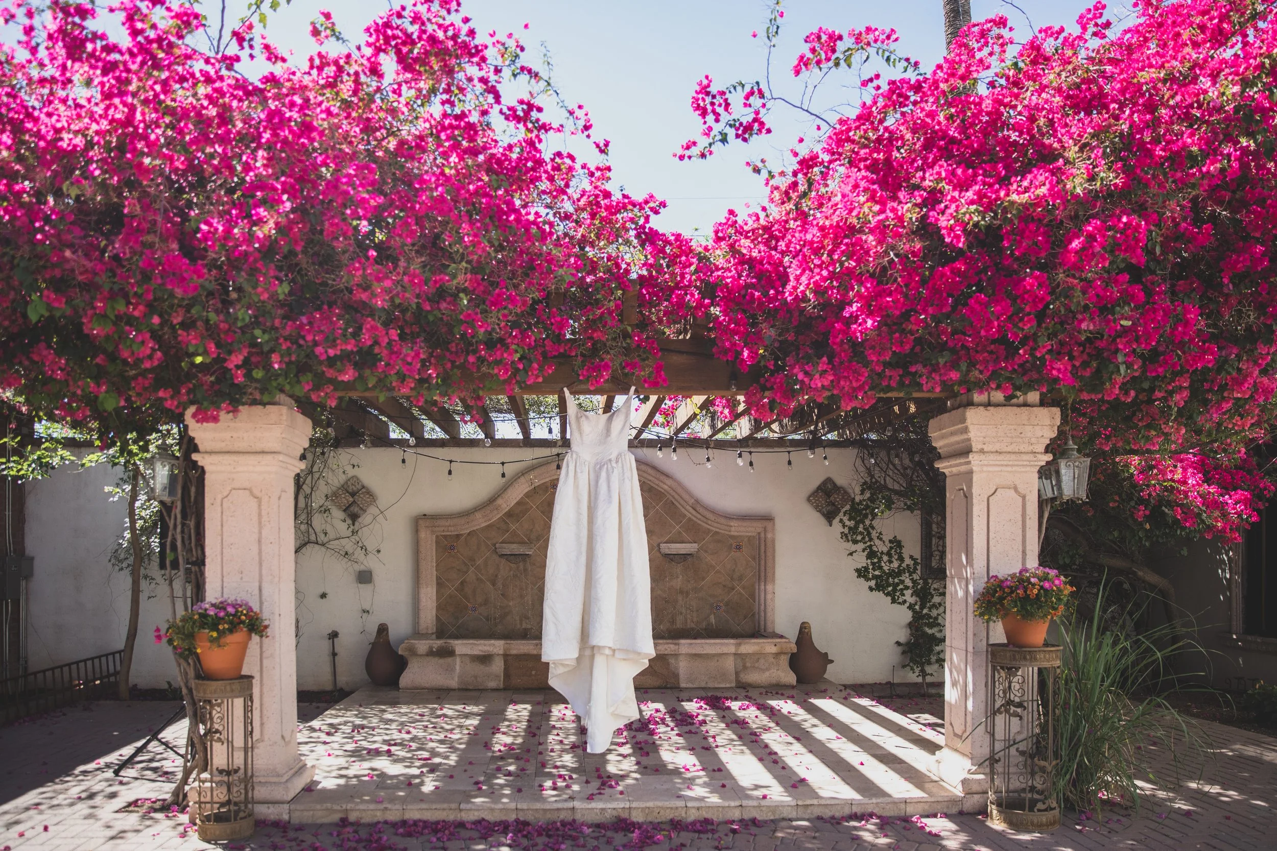 Shelby and Skyler Wedding at Antigua Garden in Phoenix, Arizona by Photographer, Jennifer Lind Schutsky, April 2026 EDITED-31.jpg
