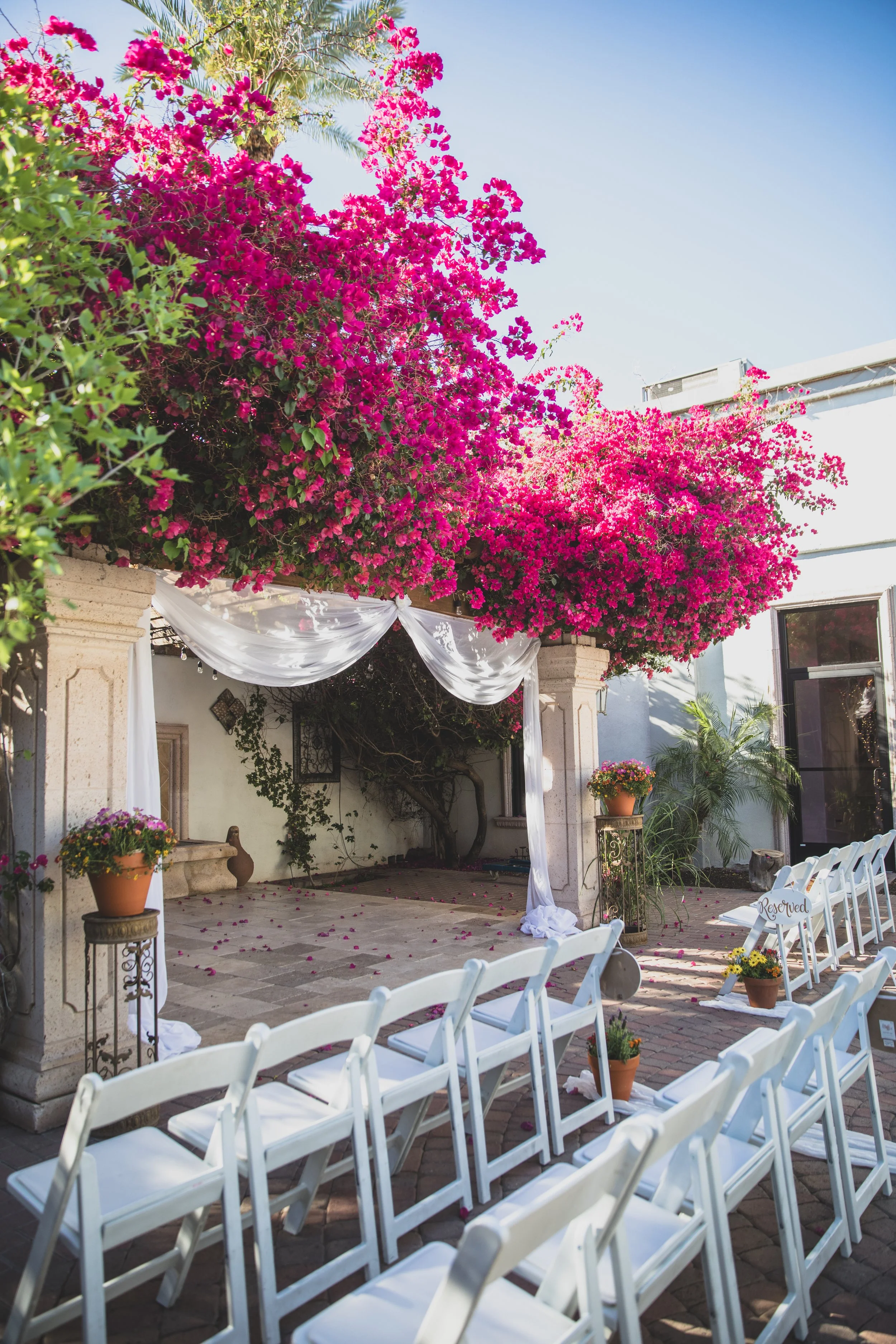 Shelby and Skyler Wedding at Antigua Garden in Phoenix, Arizona by Photographer, Jennifer Lind Schutsky, April 2026 EDITED-391.jpg