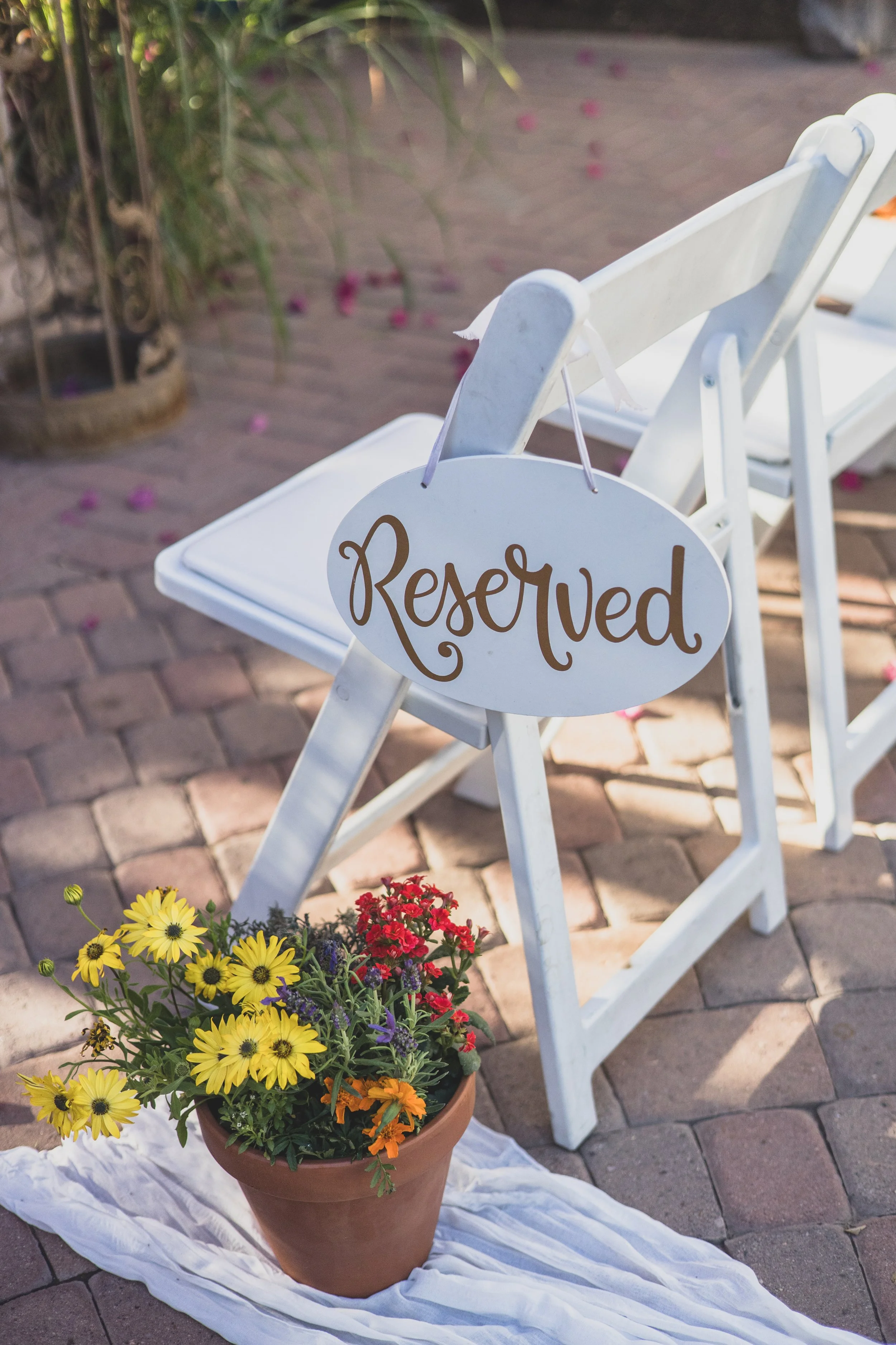 Shelby and Skyler Wedding at Antigua Garden in Phoenix, Arizona by Photographer, Jennifer Lind Schutsky, April 2026 EDITED-449.jpg