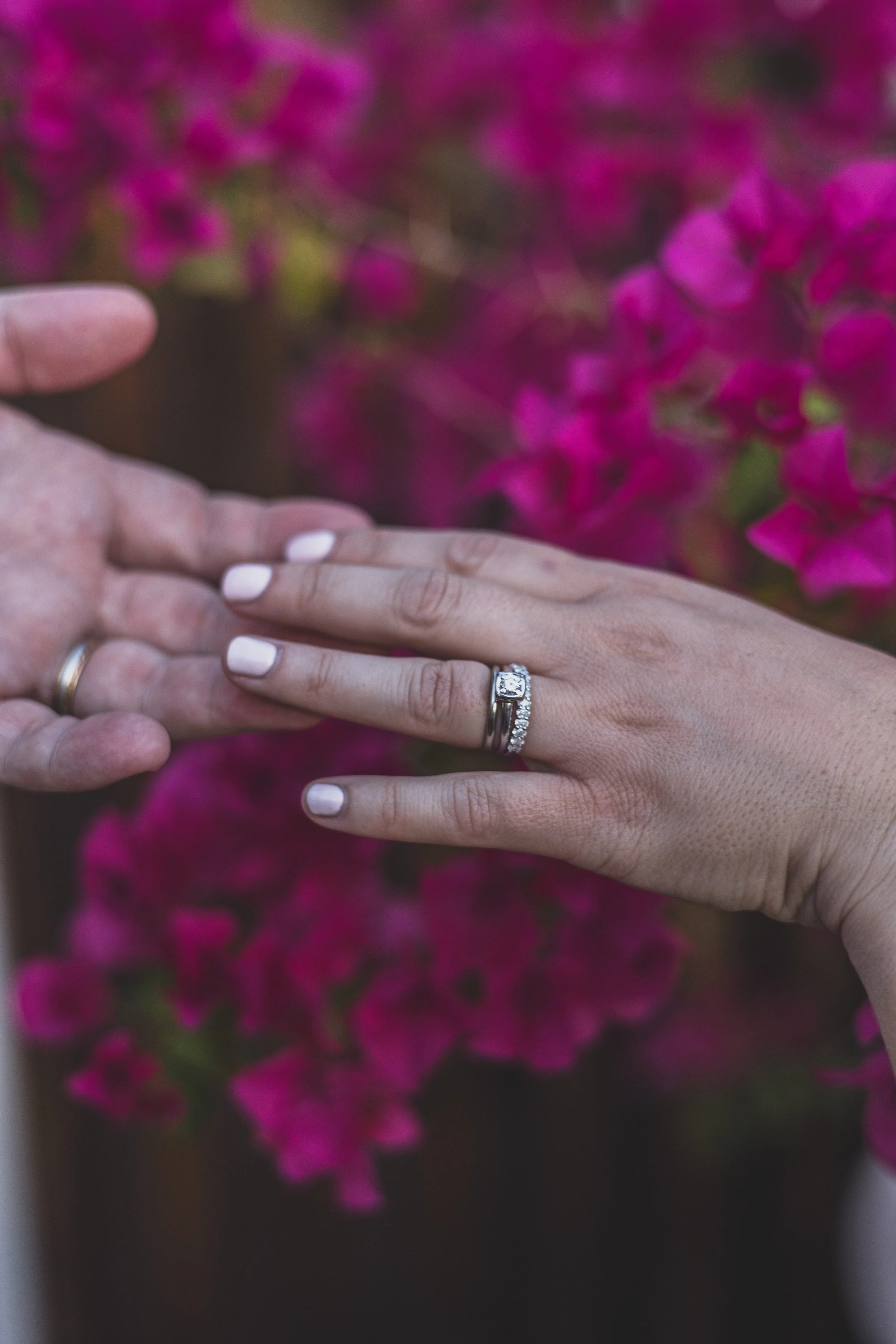 Shelby and Skyler Wedding at Antigua Garden in Phoenix, Arizona by Photographer, Jennifer Lind Schutsky, April 2026 EDITED-1010.jpg