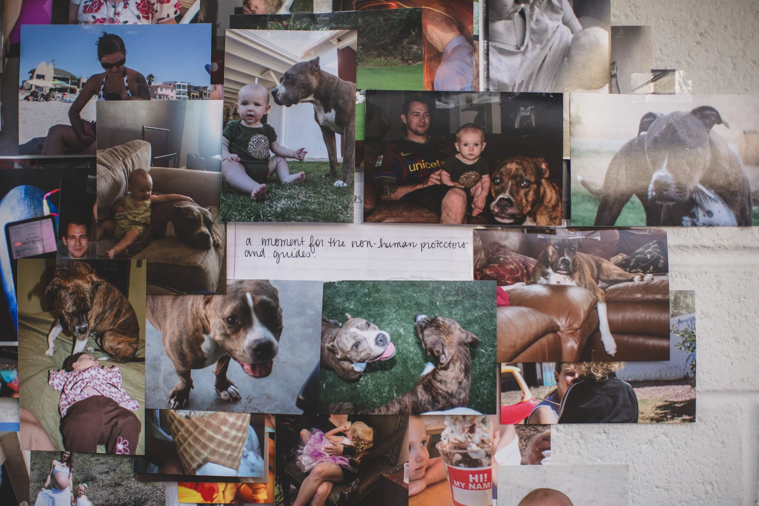 Memory Cult Assignment, 'The Narrative' on Home in Phoenix, Arizona by Photographer, Jennifer Lind Schutsky, July 2026-26.jpg