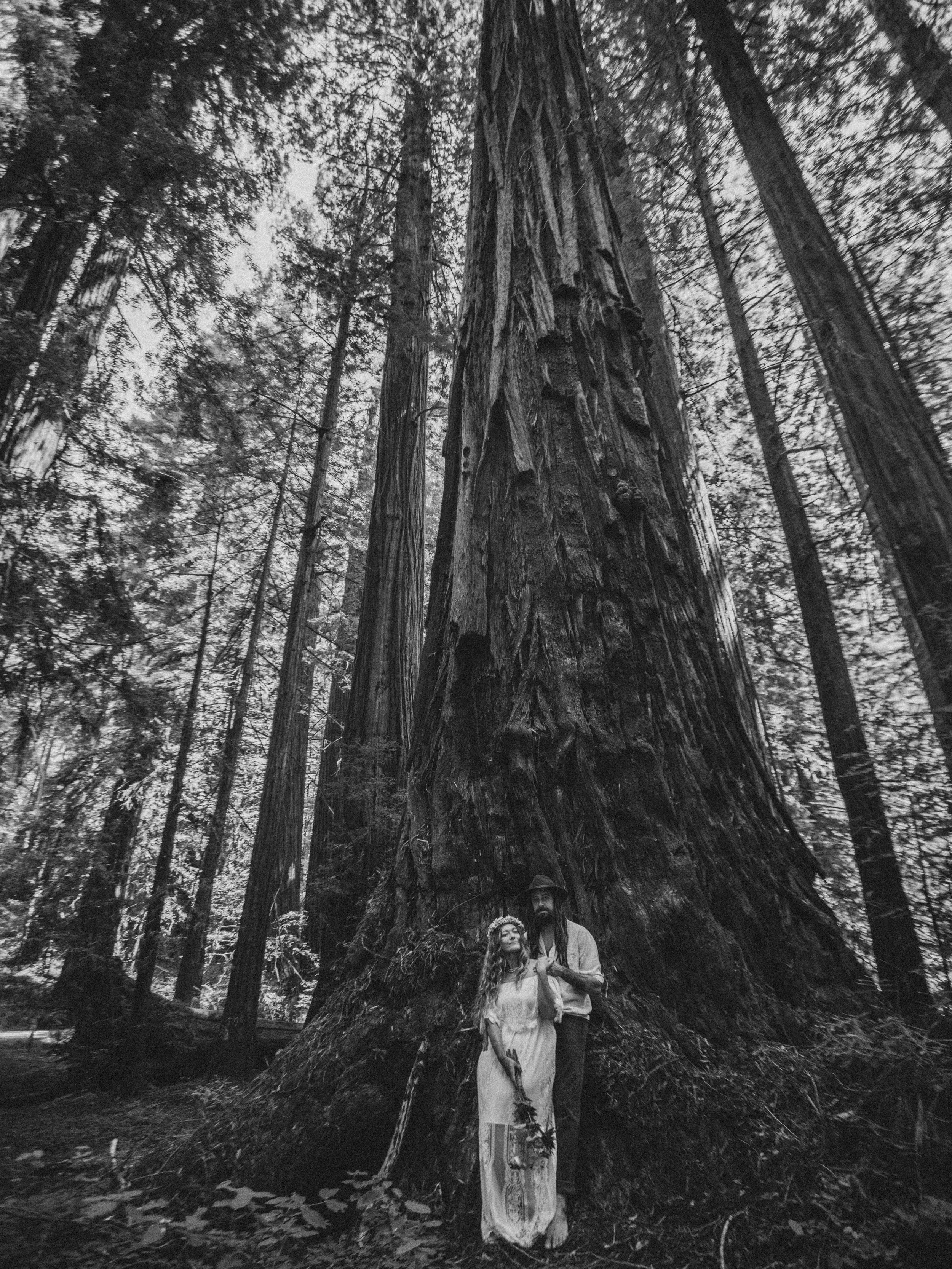 POV: you trust a fine arts educator and photographer with over 20 years of experience in the visual arts to photograph your #redwoods #vowrenewal and all you get are these black and white #film inspired photographs (along with 200 other images) 

TY 