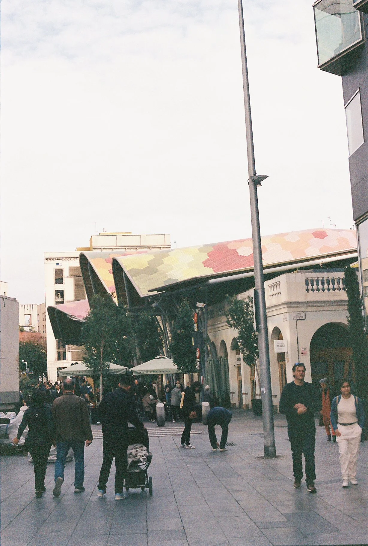 0733435_0733435-R1-052-24A.jpg