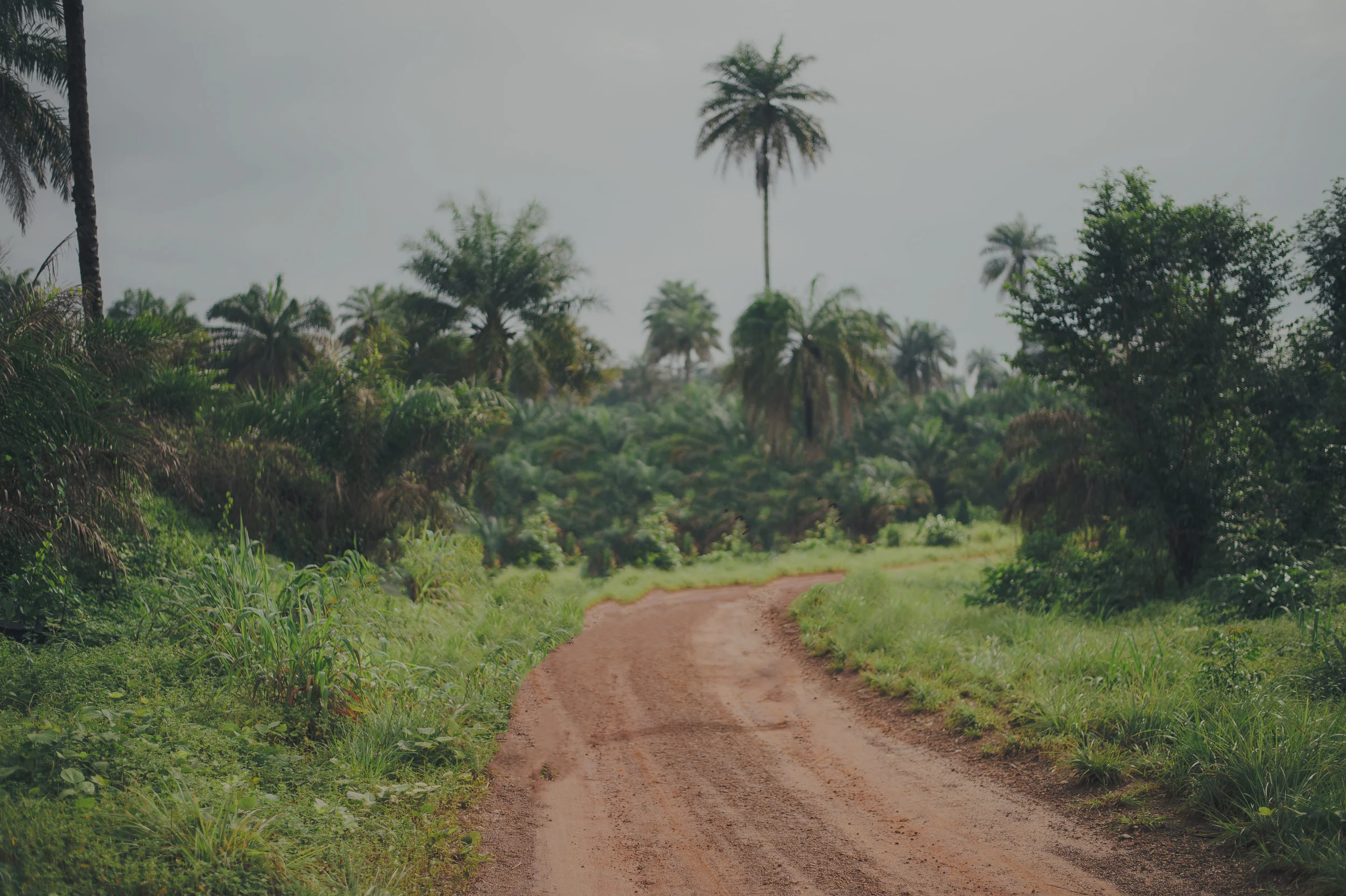 annie-spratt-126510-unsplash copy.jpg