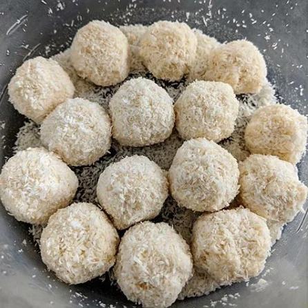 Low-Carb, Ketogenic Diet Coconut Dessert Balls