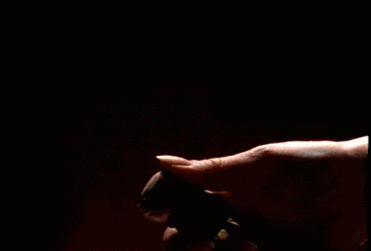 giphy-1.gif