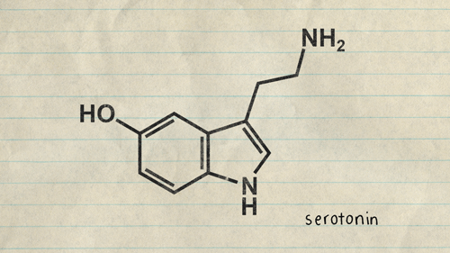 serotonin.gif