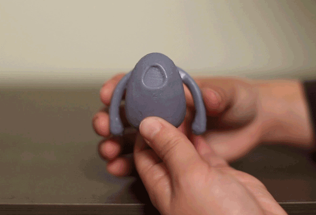 dame product.gif