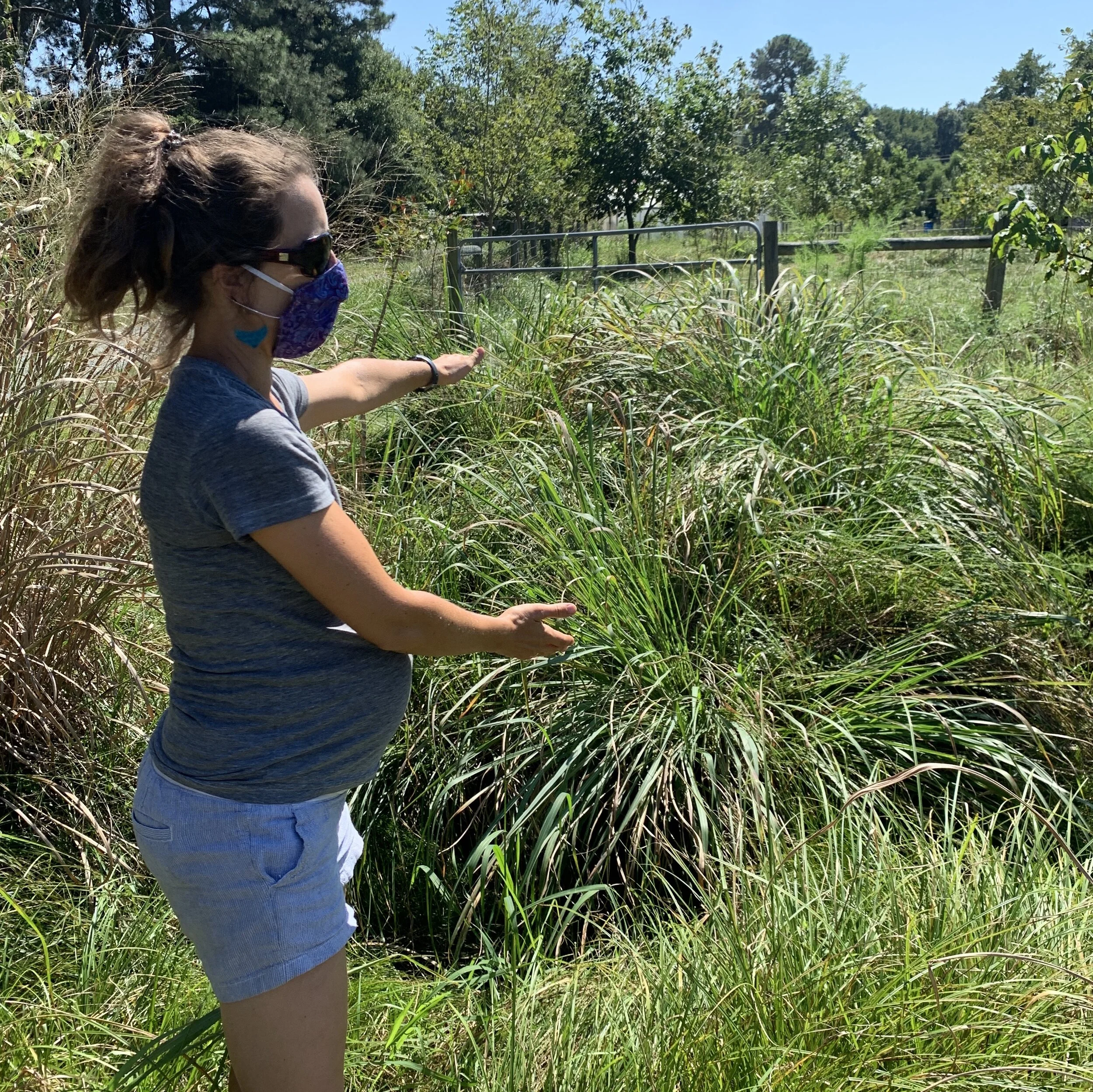 Overcoming the Fragility of Family Farming