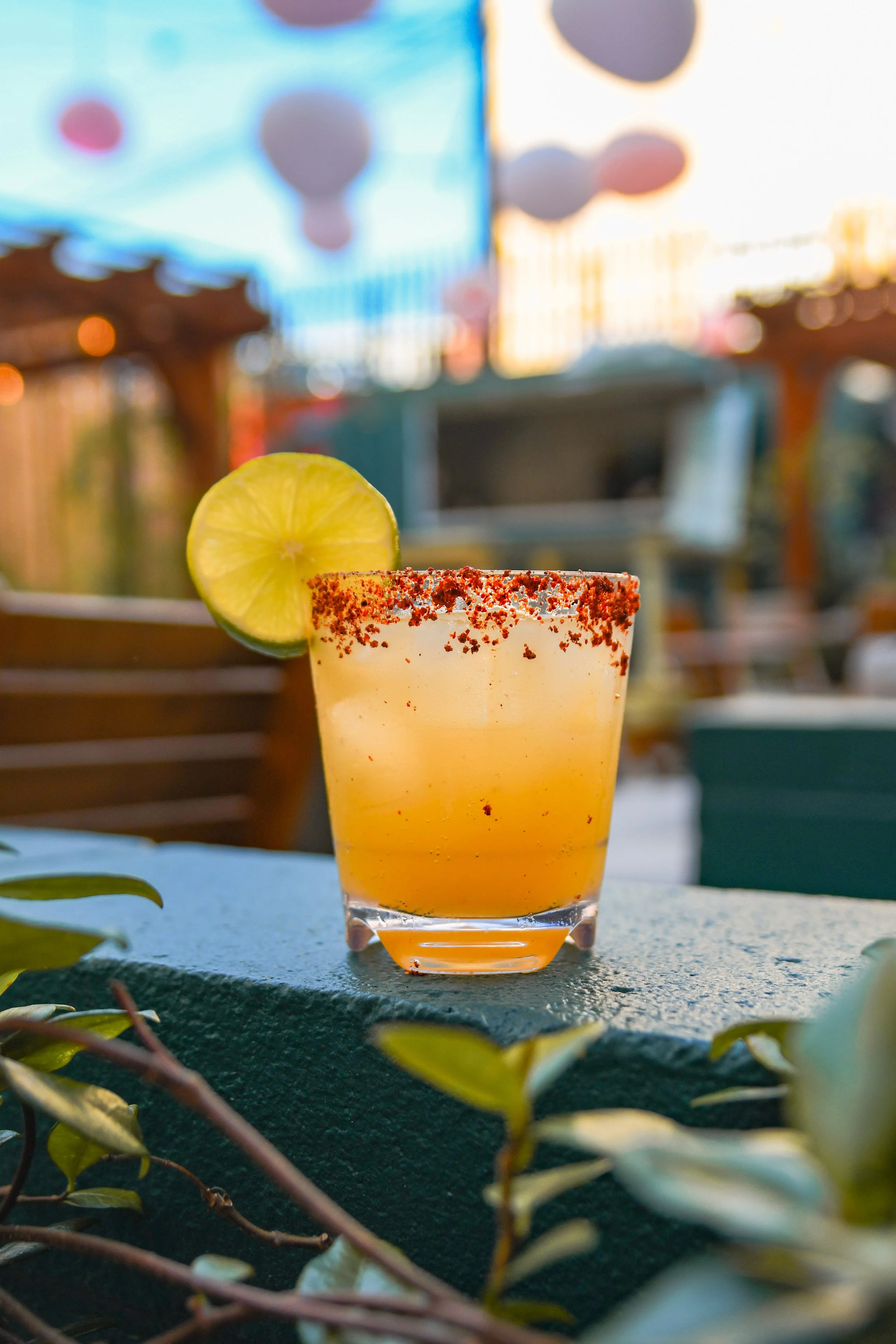 RR launch Drinks 2026-5.jpg