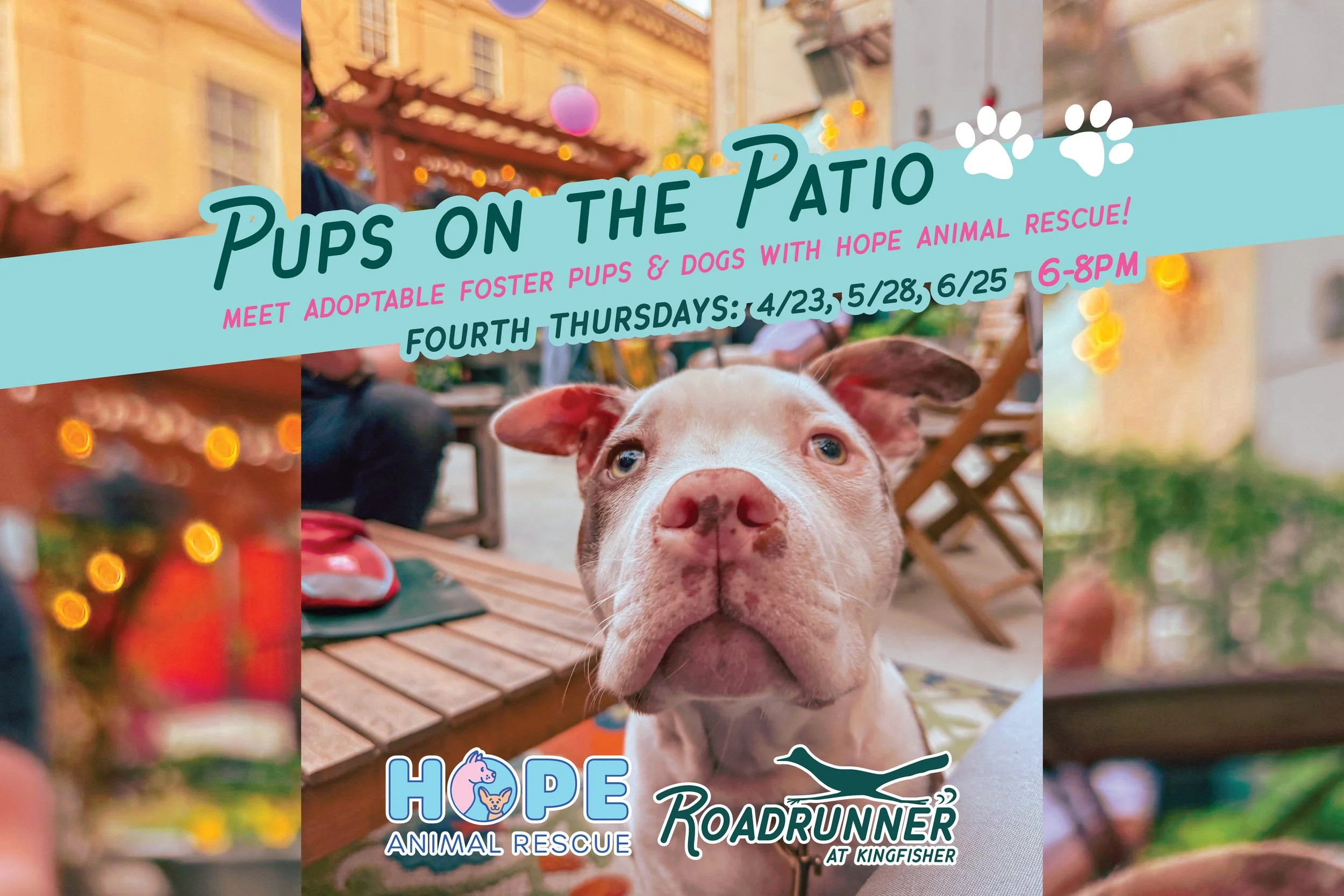 Pups On The Patio With Hope Animal Rescue