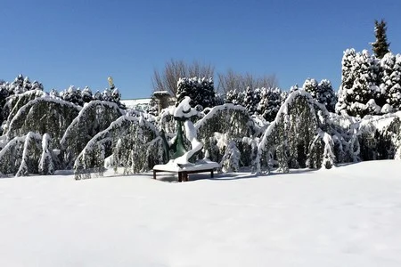gfs-winter.jpg