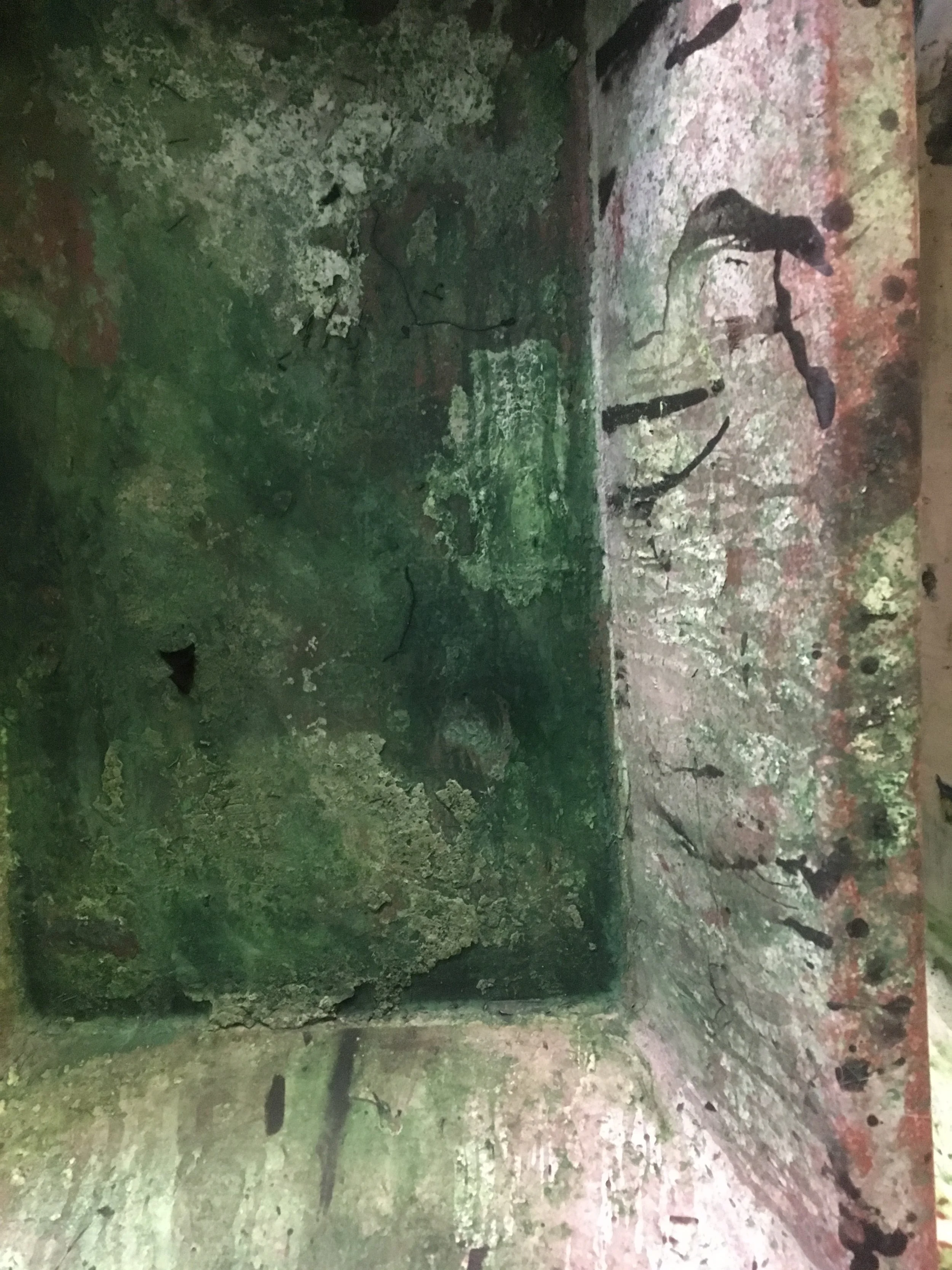 2018-11-10 16.22.26.jpg