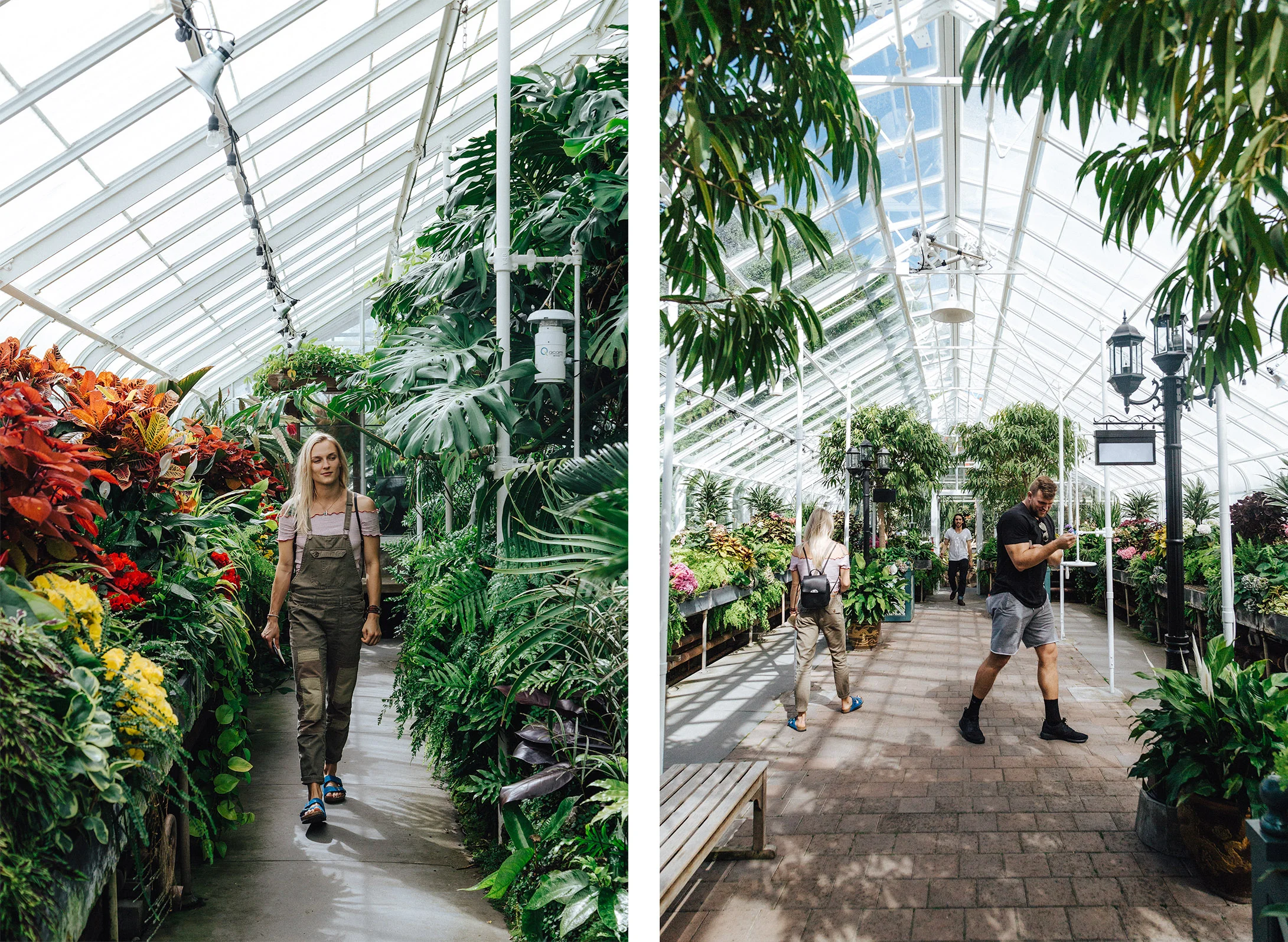 Walking around Volunteer Park Conservatory