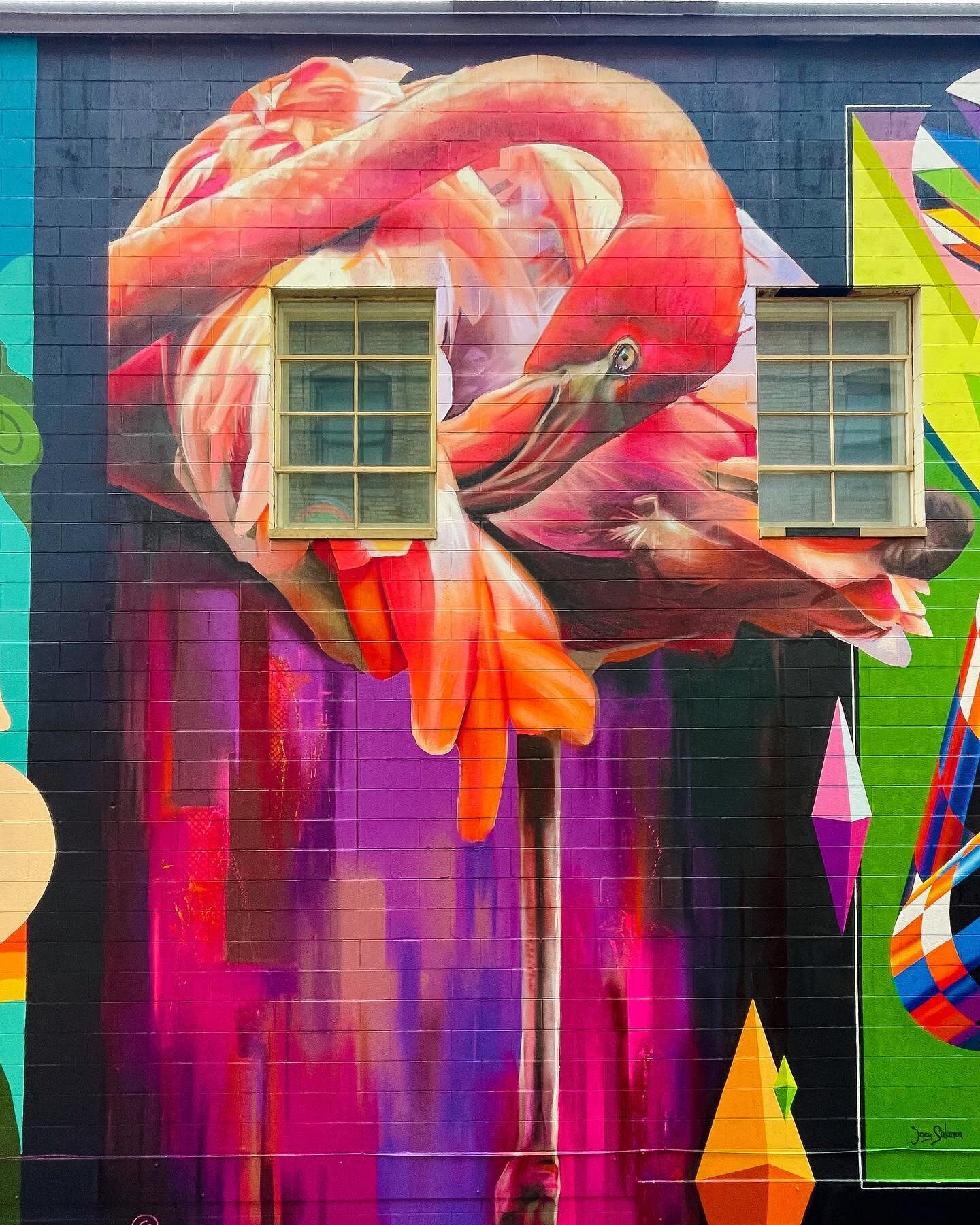 Final Mural by @zachcurtisartwork for #BrightWallsJackson 2022

📍141 E. Michigan Avenue, Jackson, MI 49201 USA

Vast and vivid, this flamingo is sure to catch your attention! 🦩Zach brought the the tropics to Michigan, which will hopefully add some 