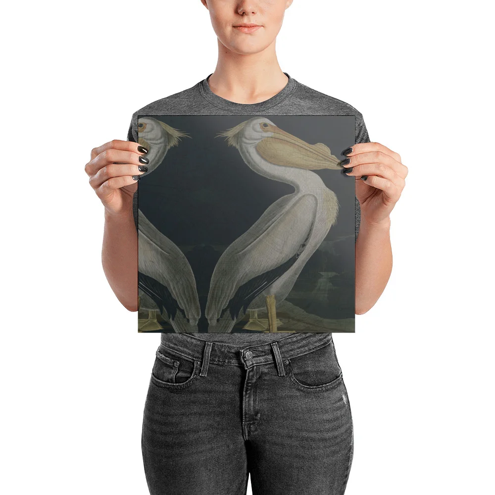 Pelican-State_mockup_Person_Person_12x12.jpg
