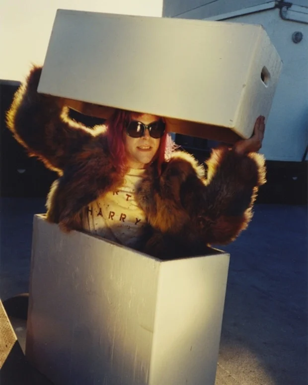 Ariel Pink - Spin - Nick Haymes (3).jpg