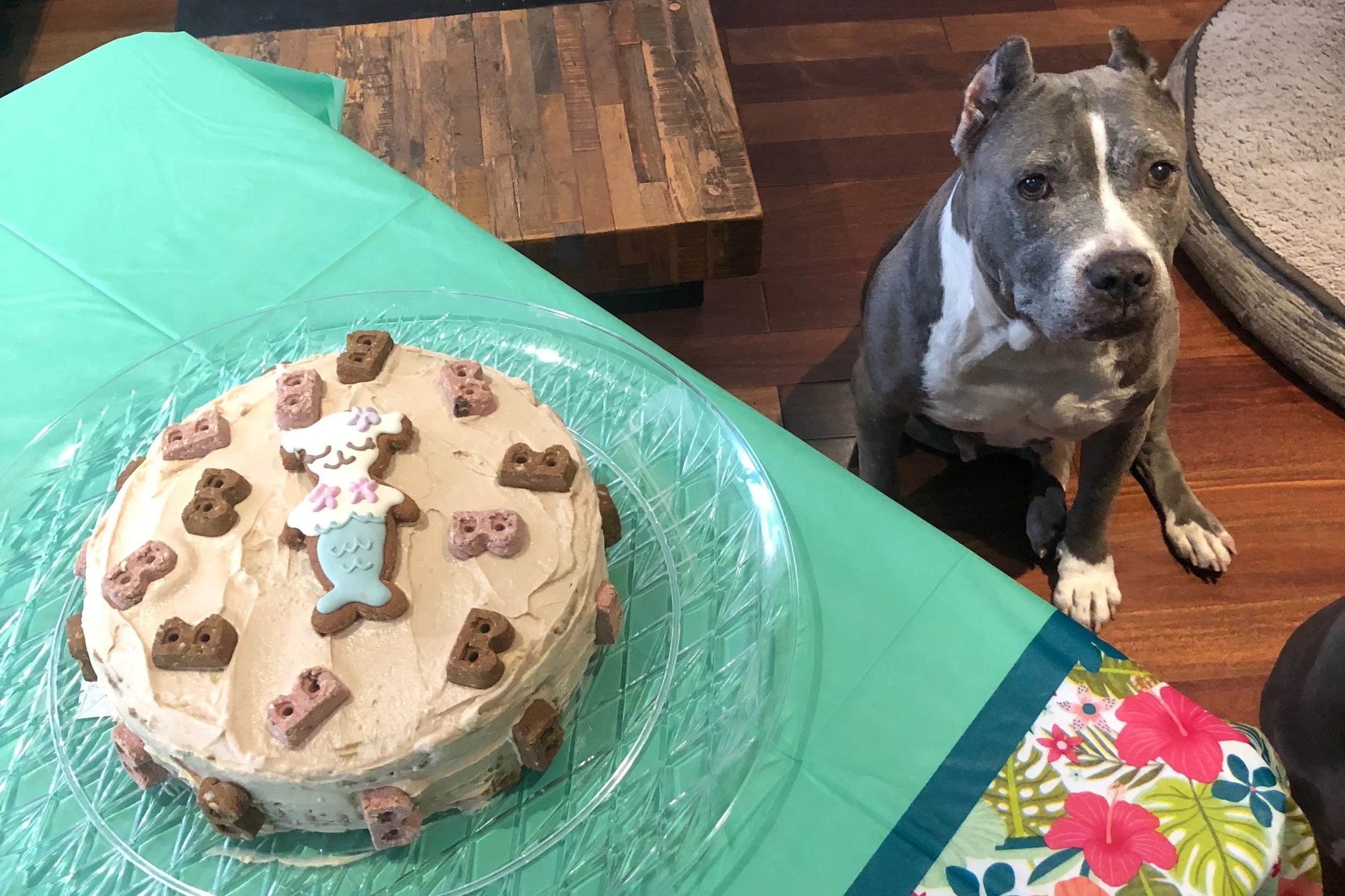 A Very Happy Truesday