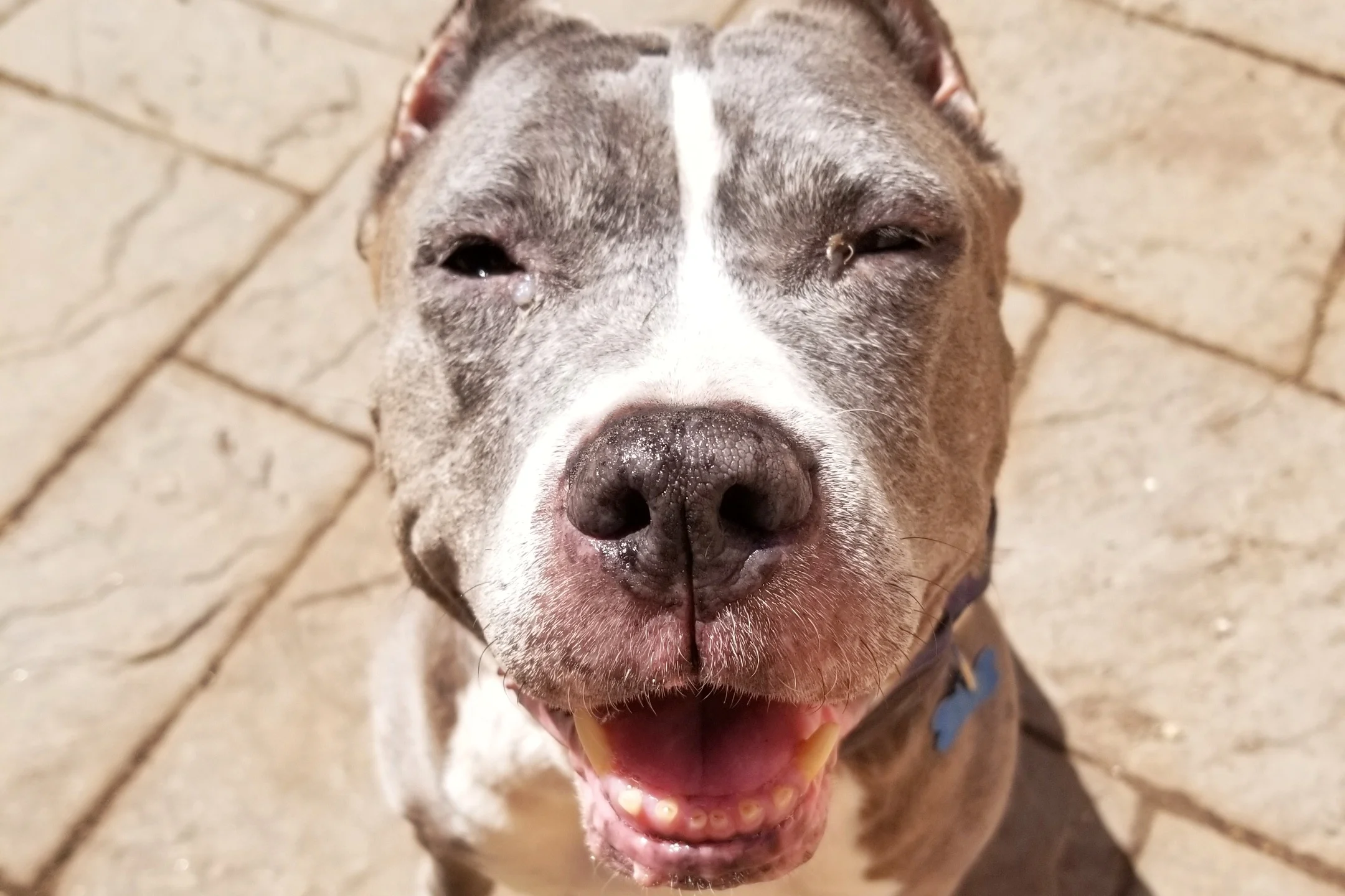 My Gert Diamond