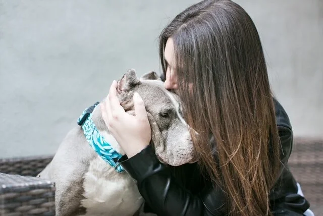 On Grieving Our Pets