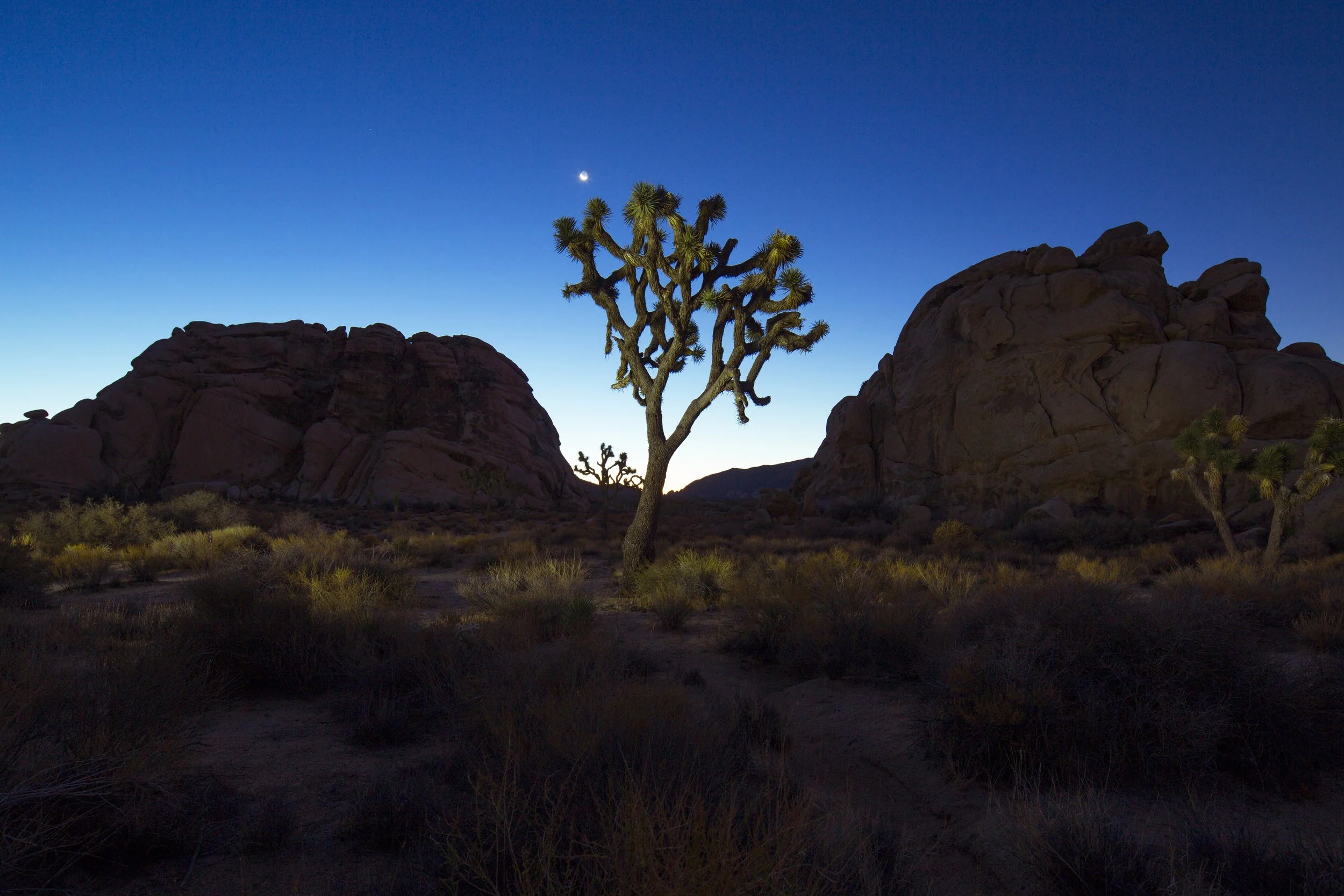 ARIZONA NATIONAL MONU CARAVAN 2-2.jpg