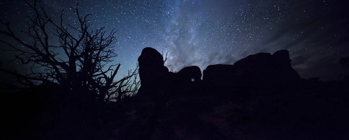 UTAH Arches Star Bush.jpg
