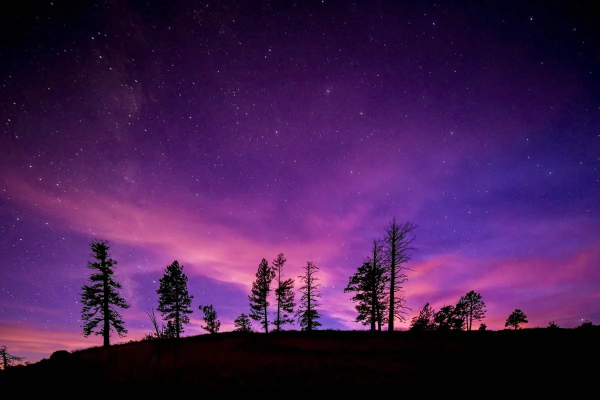 Utah Bryce Purple-3.jpg