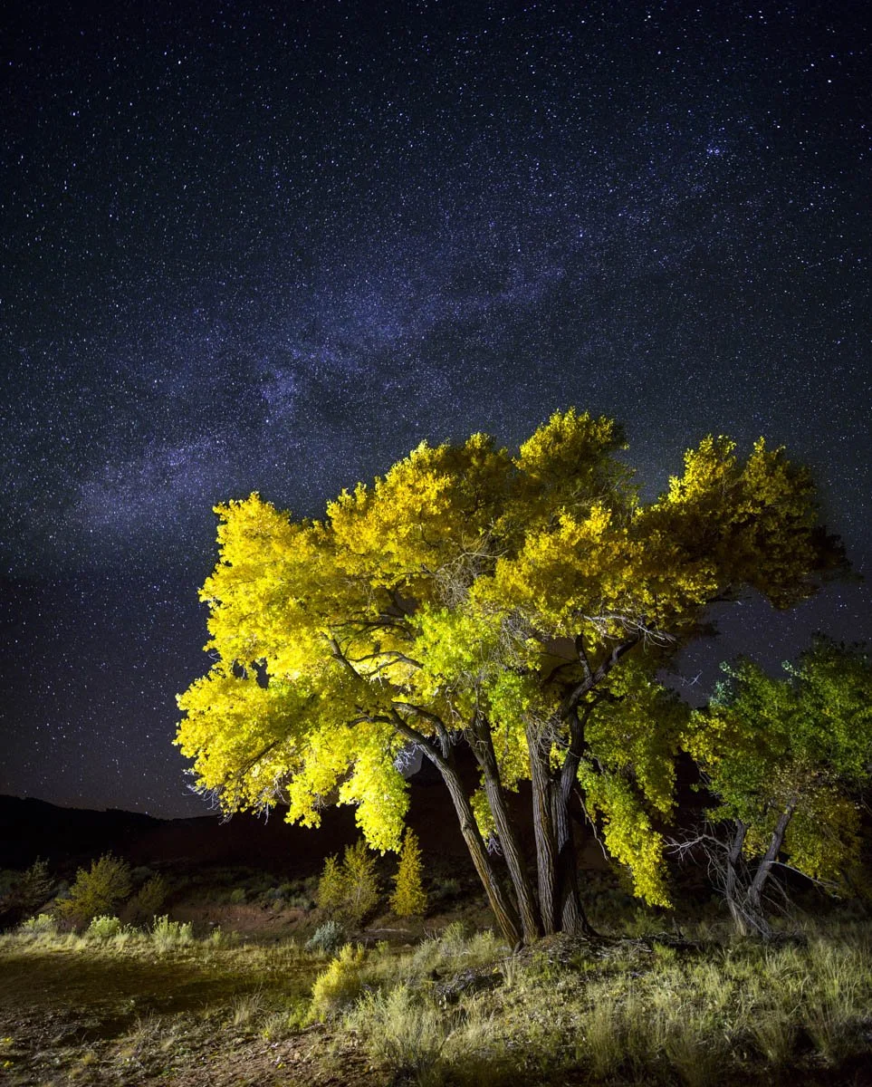 UTAH Somewhere-2-2.jpg