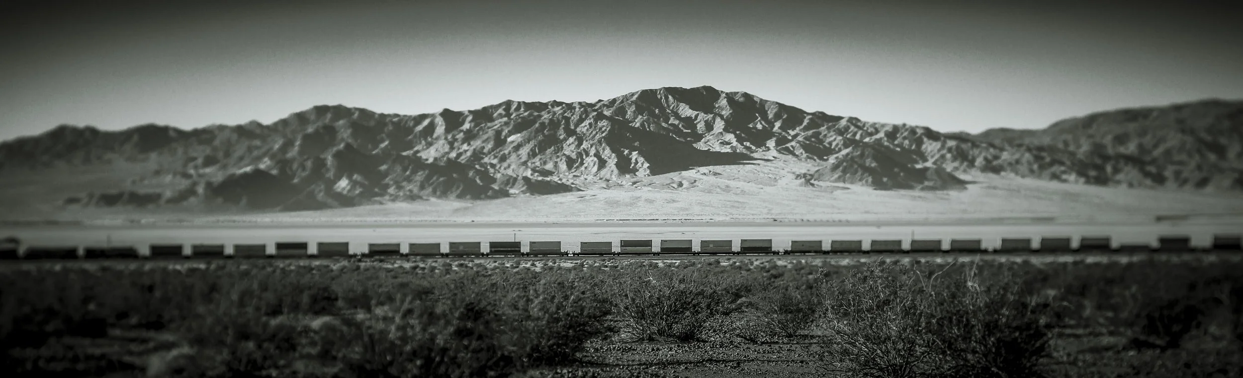 New Mexico Horse-3.jpg