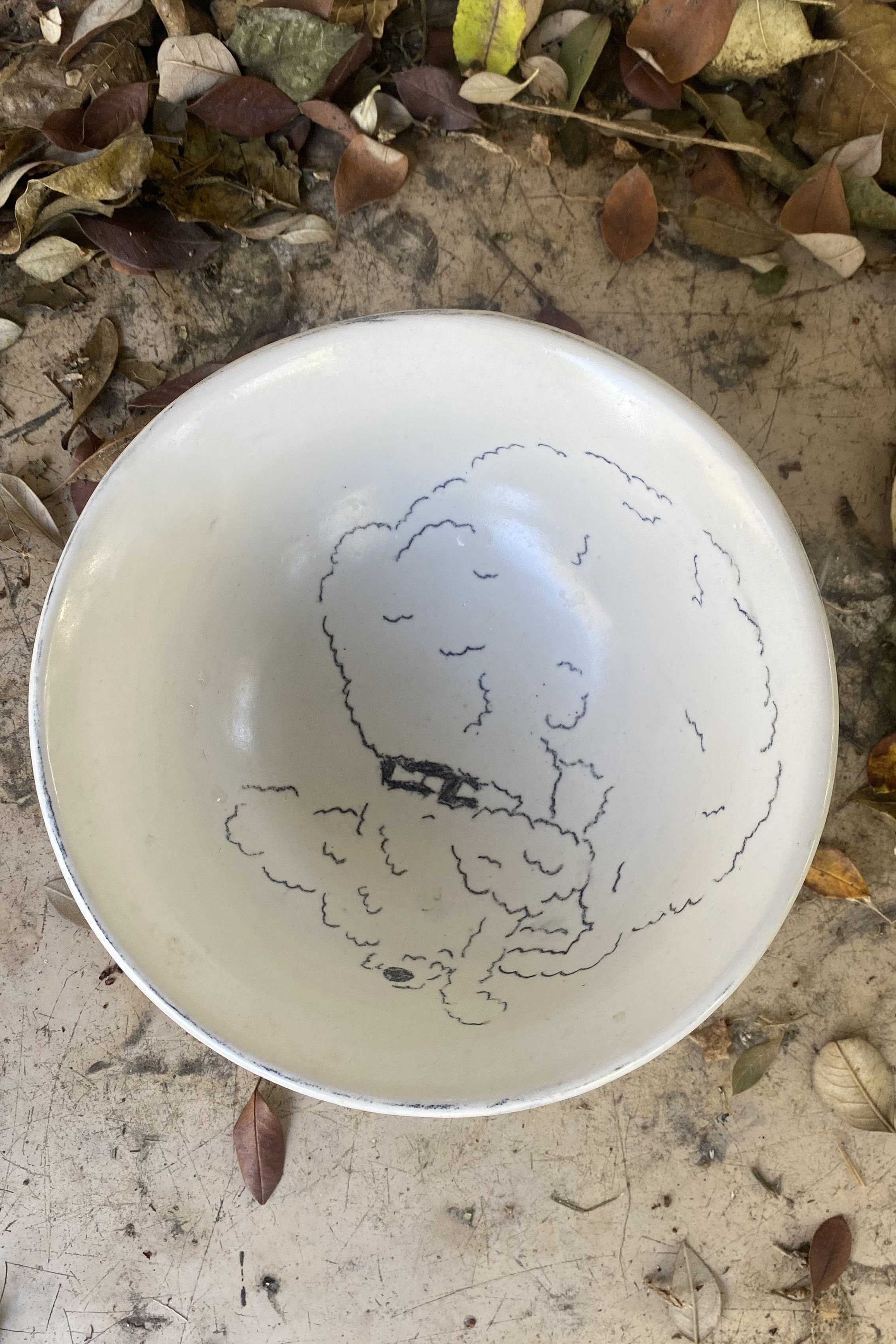 Fluffy Dog Sleeping in a Bowl Bowl