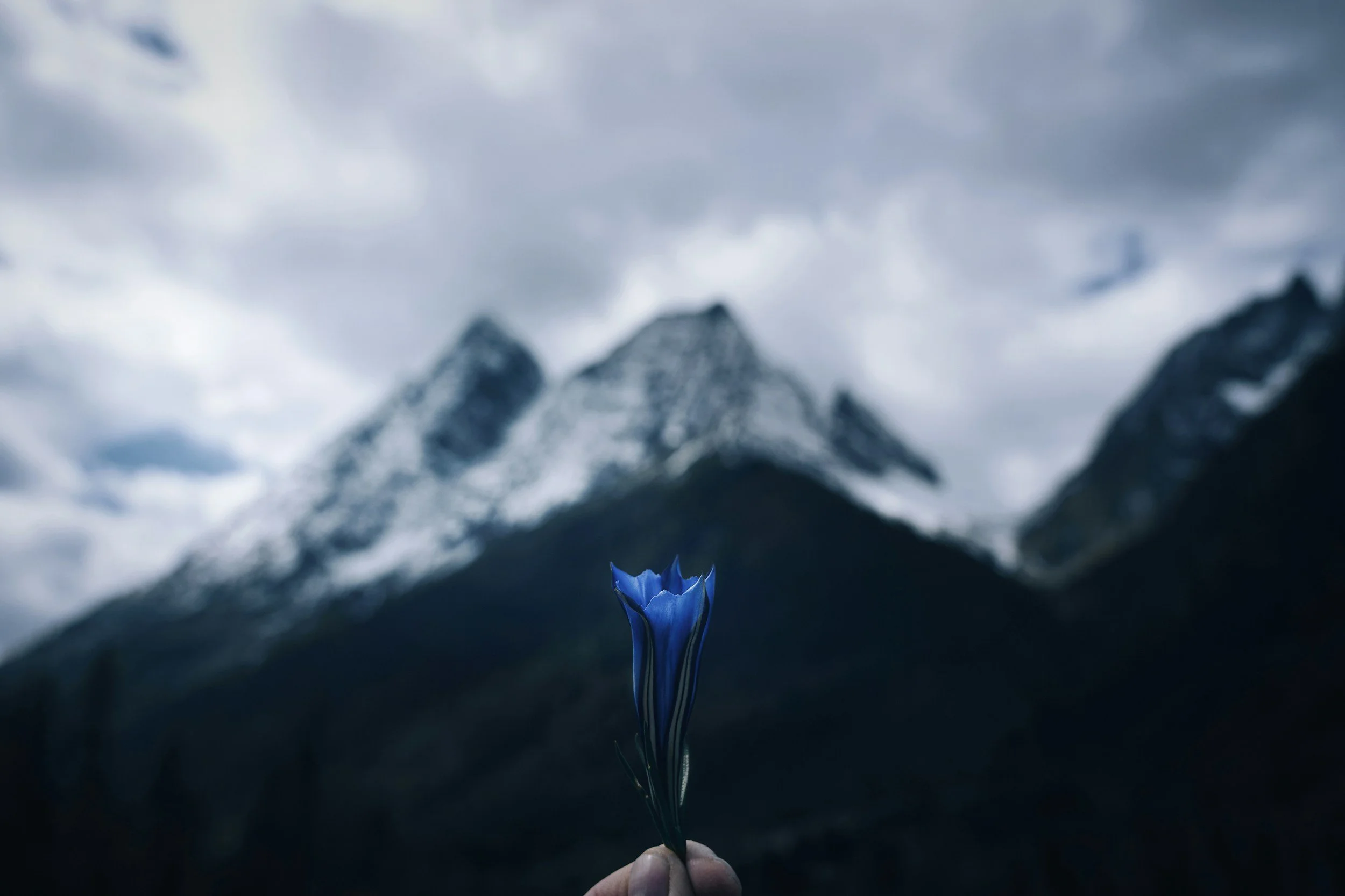 The Power Of Possibility