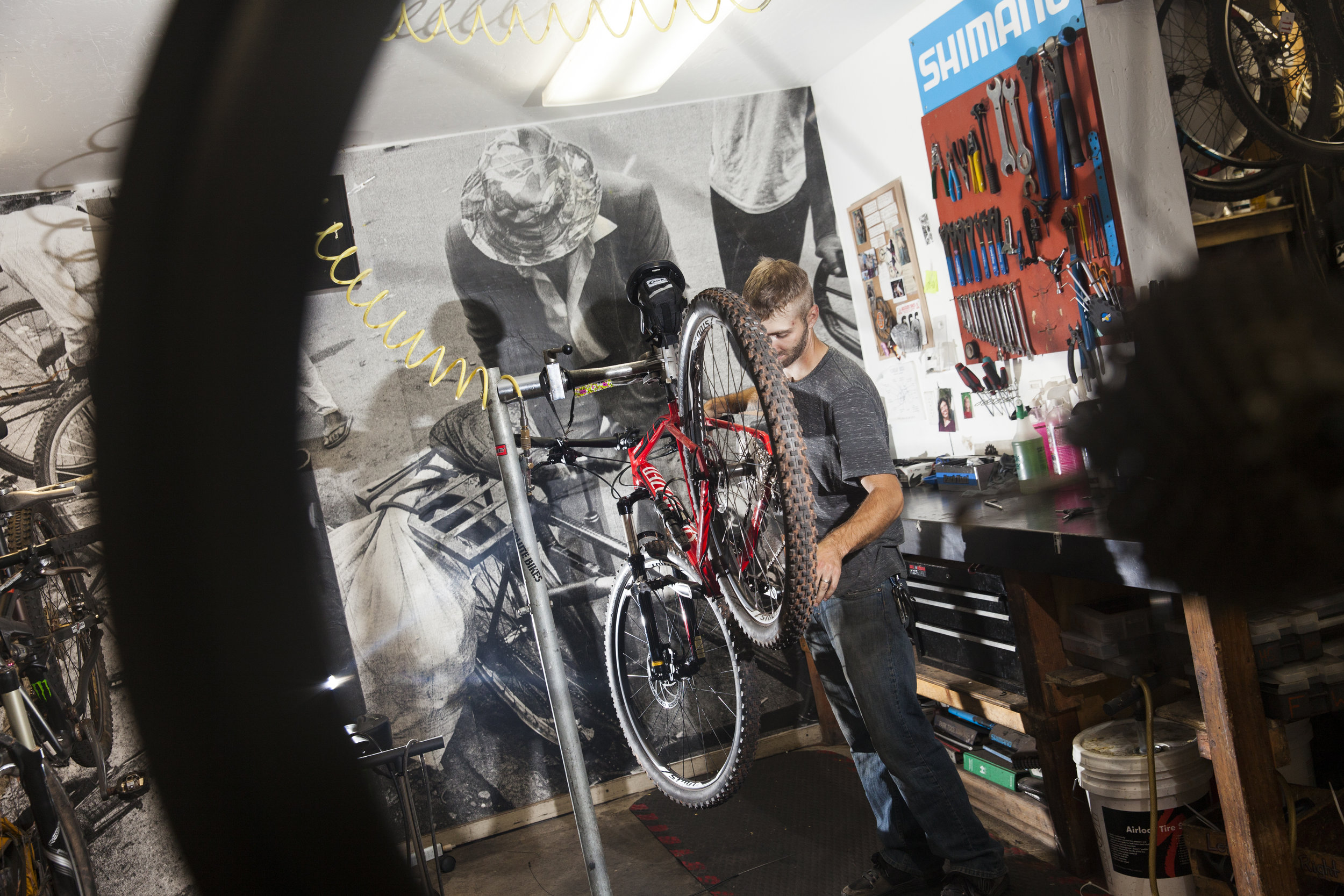 AbsoluteBikes-1036.jpg