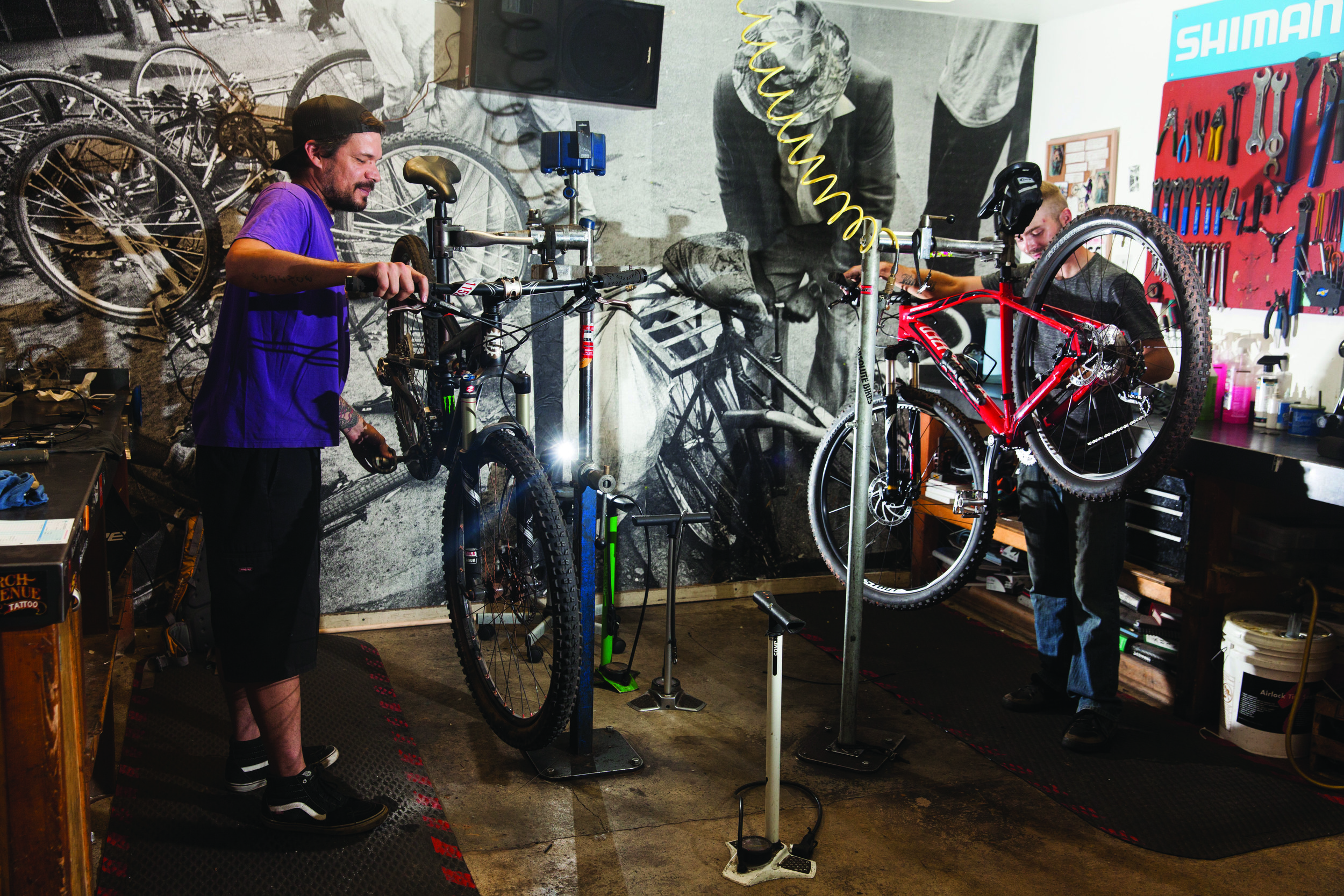 AbsoluteBikes-1033.jpg