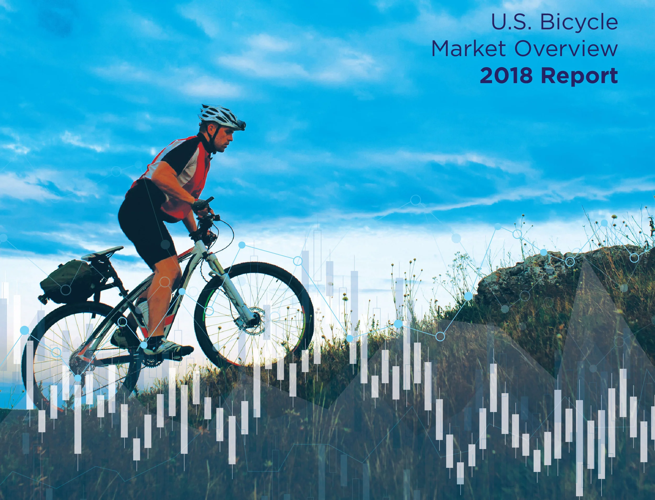 2018BicycleMarketCover_HiRes.jpg