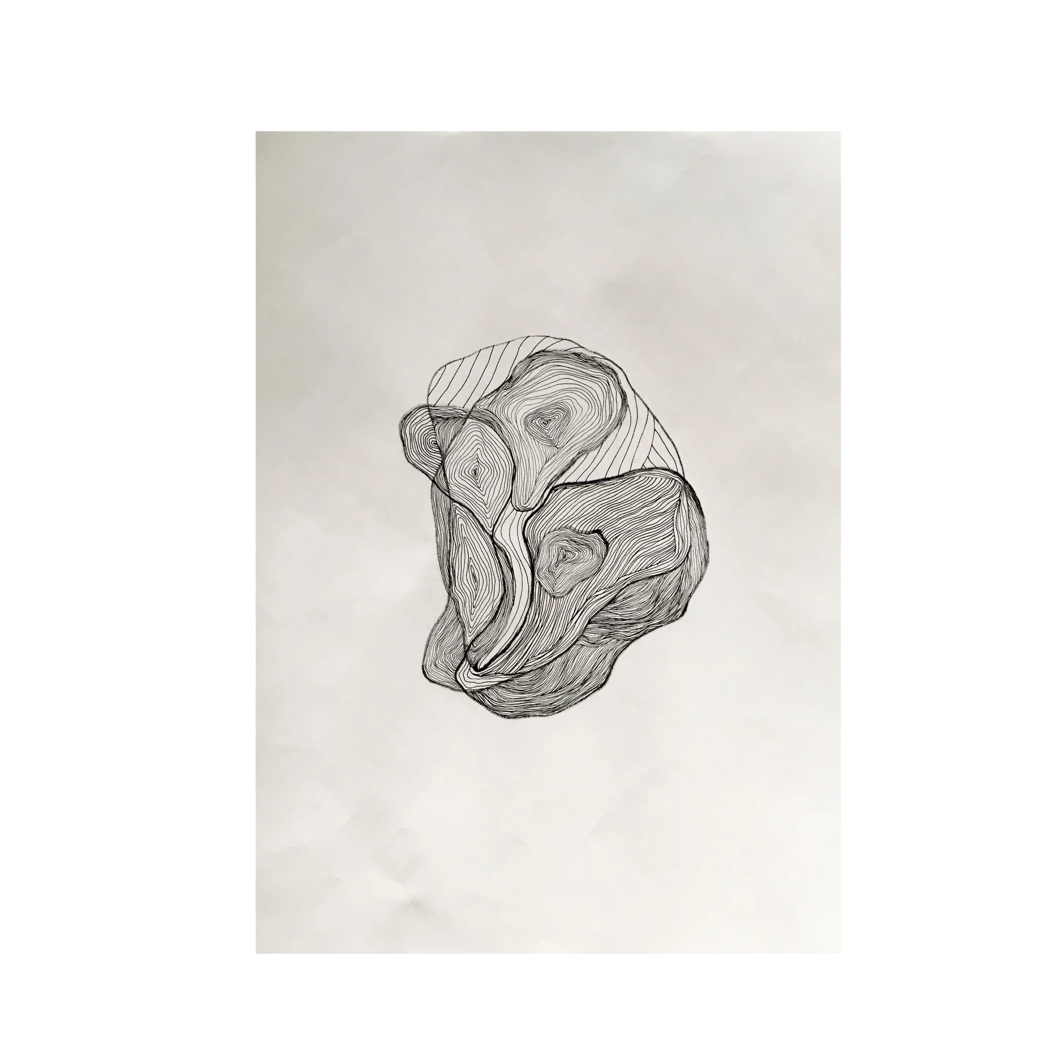 Mussels | ink on paper | 16" x 20" | 2017