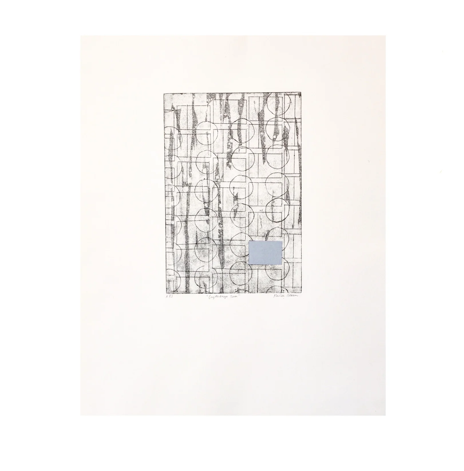 Cogito Ergo Sum | intaglio | ink and chin collee | 11” x 14” | edition of 20 | 2017
