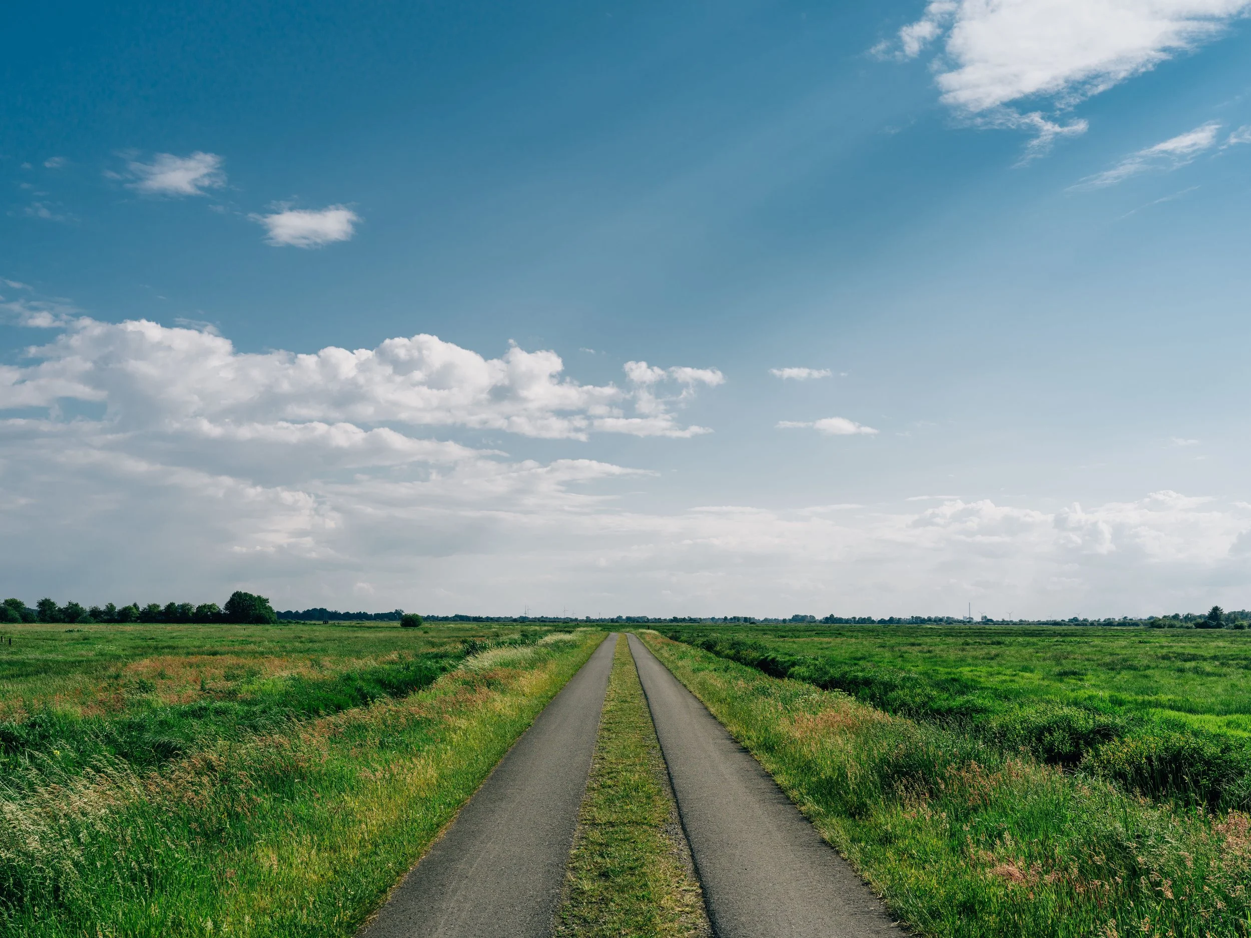 road-surrounded-by-field-covered-greenery-blue-sky-teufelsmoor.jpg