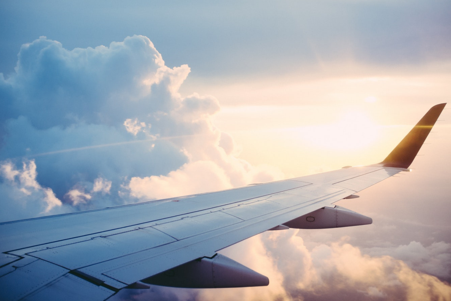 flight.jpg
