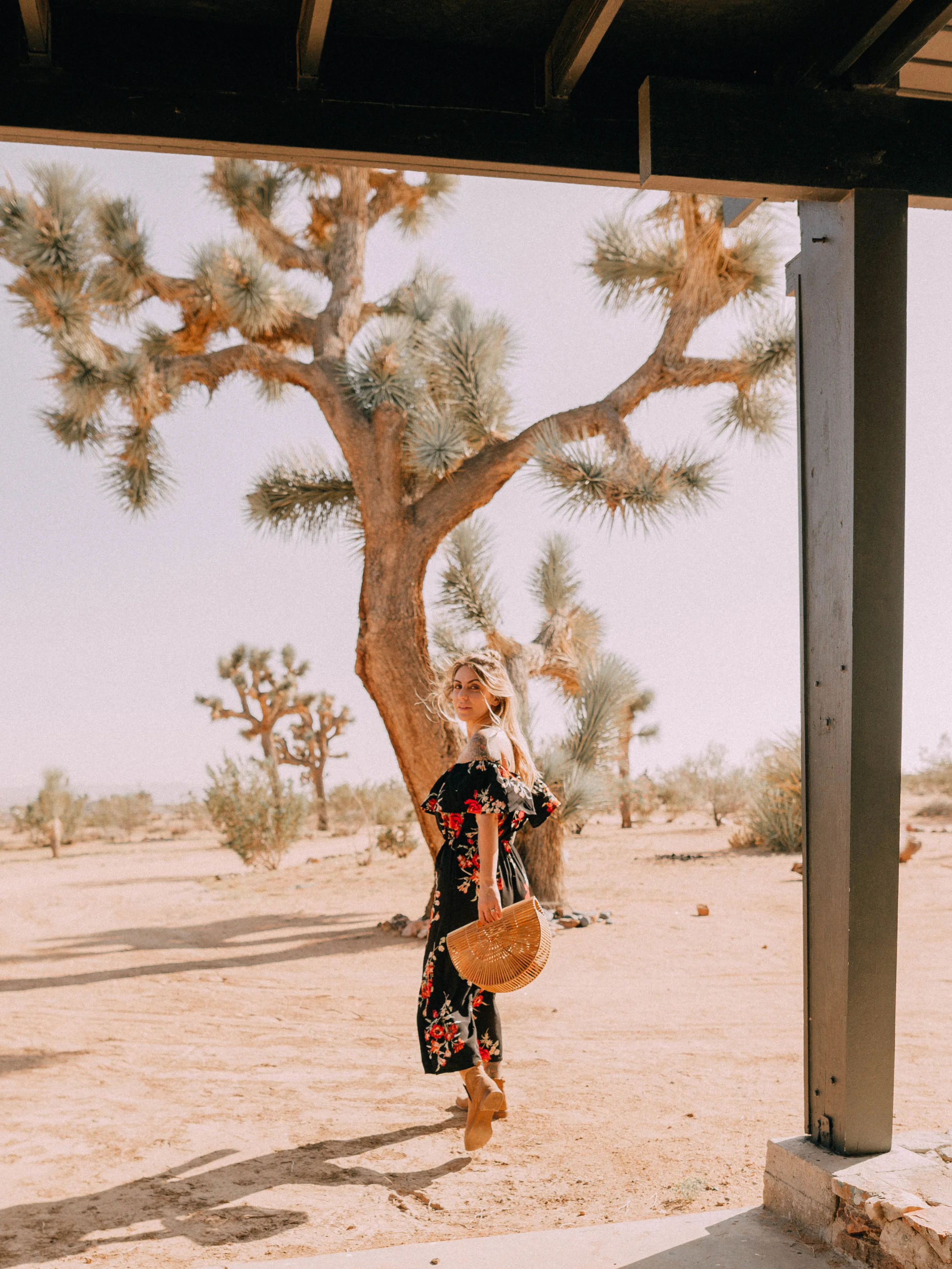 desert-dwelling-joshua-tree-12.jpg