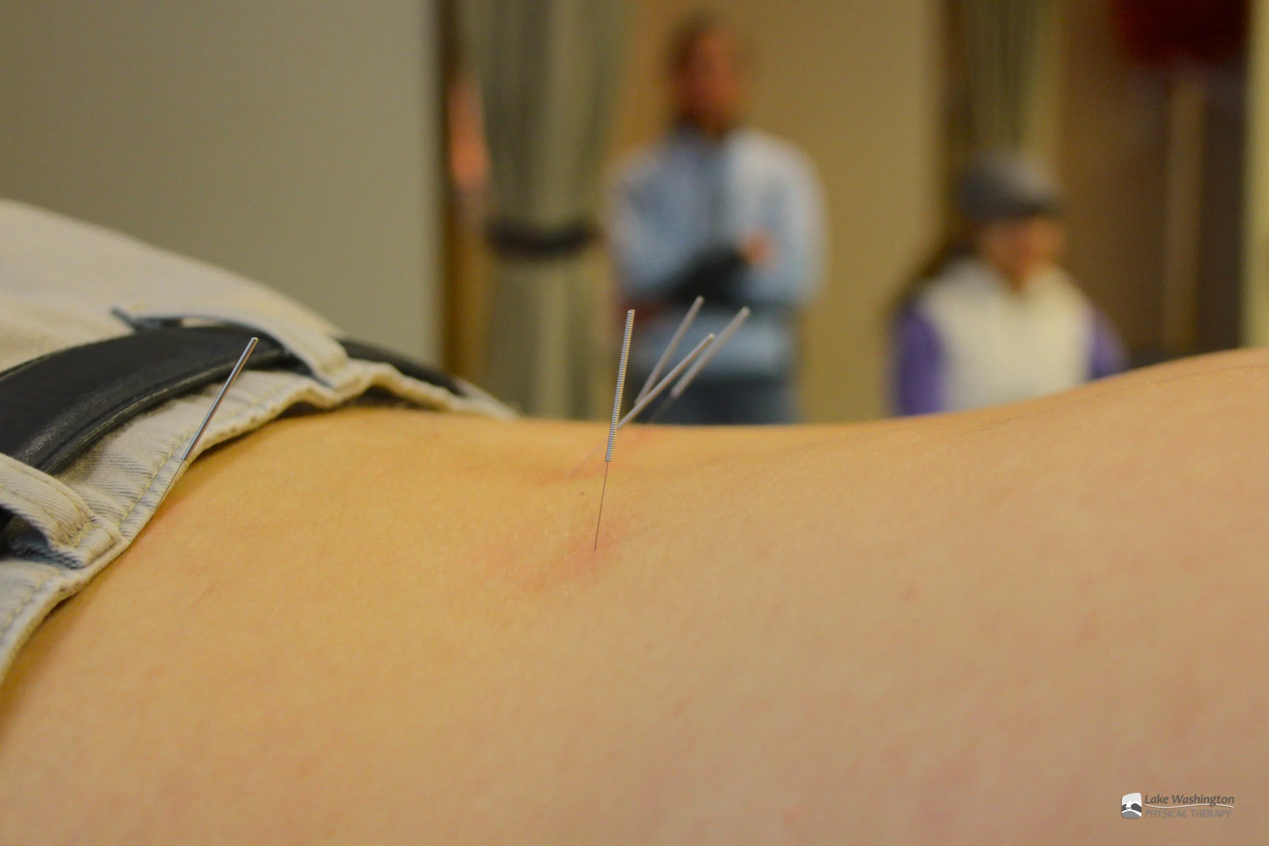 Accupuncture Lecture 2.jpg