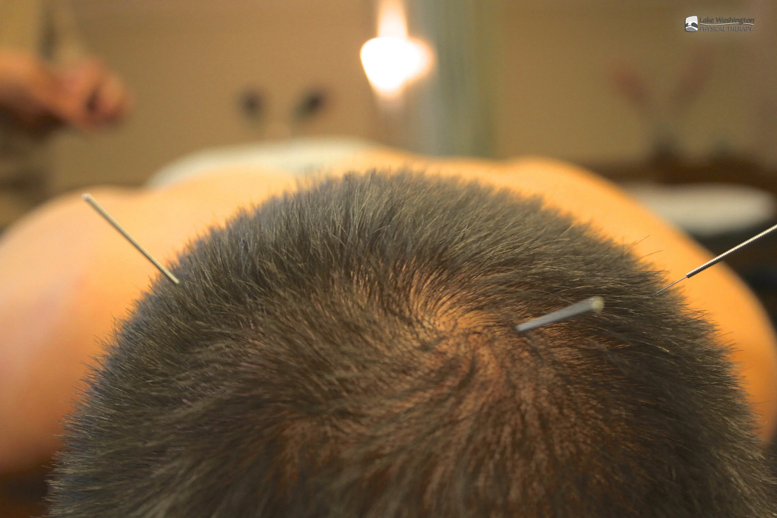 Accupuncture Lecture 4.jpg