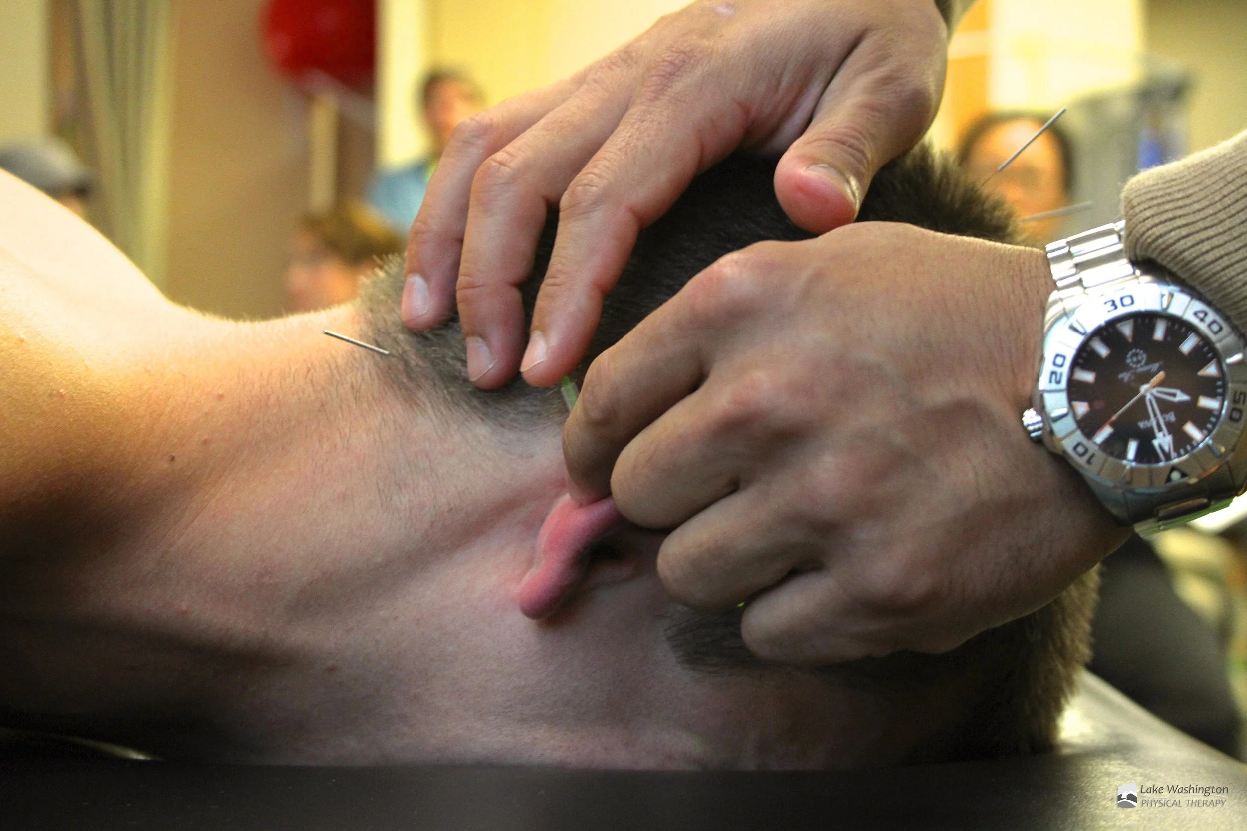 Accupuncture Lecture.jpg
