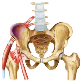 ILIAC_CREST_PAIN.jpg